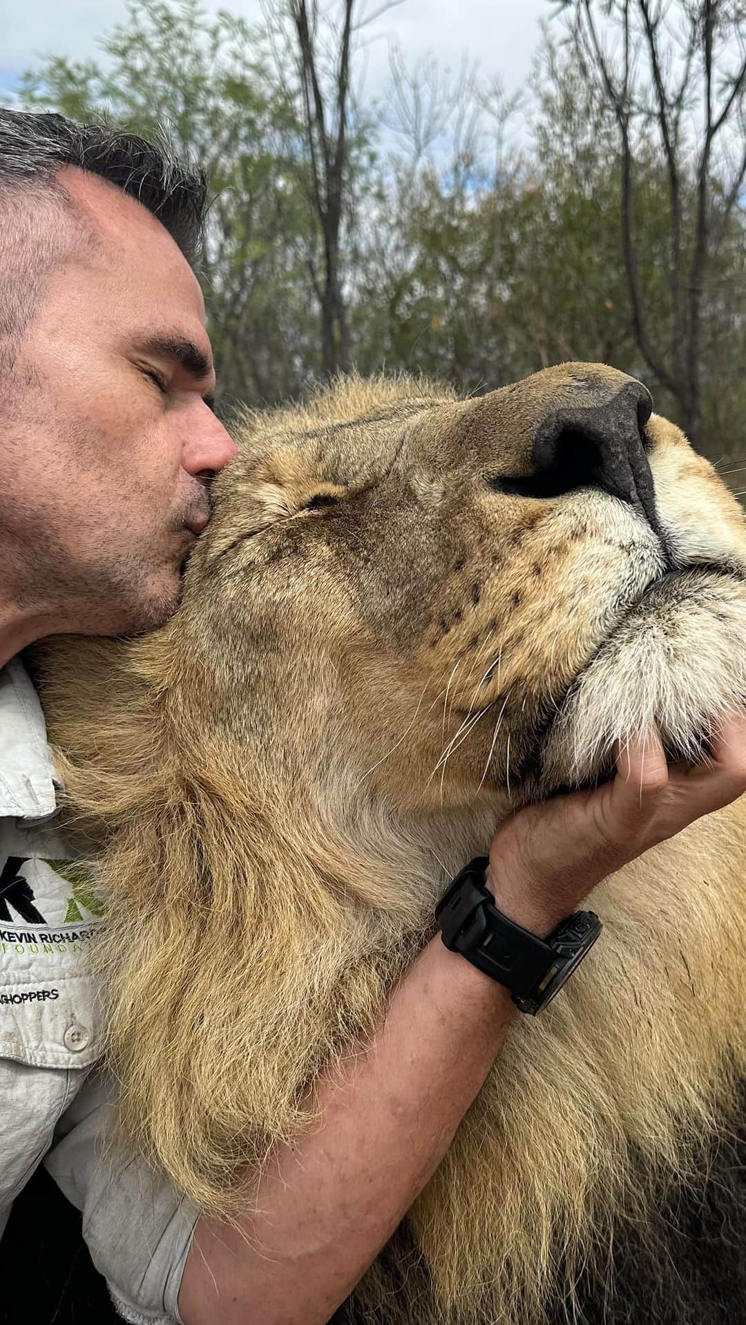 Kevin Richardson LionWhisperer のインスタグラム：「Did some film clips 🎥 for the foundation today. It was cool and windy and the lions were all over the place and not playing ball! None of the animals were making life easy. Don’t know why I didn’t just go straight to this guy! 5 minutes and I was done and dusted! No prize for guessing who this wonderful 🦁 is! I must just mention his pride mate did cause havoc. Again no prizes for guessing who that lioness was! 🤣  #mycraghoppers #kevinrichardsonfoundation #mindfullymade #lionlove」
