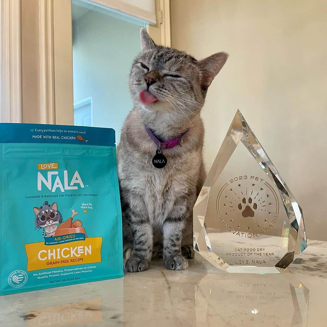 nala_catさんのインスタグラム写真 - (nala_catInstagram)「It’s time!!! PRE-ORDER and save 25% plus, we’re donating a meal to @kittenrescuela for every bag sold! Use coupon code: “AirDried” at checkout!   After years of dedicated research, innovation, and development, we are proud to announce the launch of our latest breakthrough in feline nutrition: Air-Dried Cat Food, crafted with love in the USA.   We want to take a moment to express our deepest gratitude for your unwavering support. Your trust in our recipes for your cherished furry babies means the world to us. We couldn't have embarked on this incredible journey without your love and encouragement. WE LOVE YOU TO THE MOON!!  Love, Nala, Pookie, Shannon & fam  #cats #cat #catsofinstagram #love #lovenala #catfood #nalacat #airdried #sharelifesharelove」10月3日 1時19分 - nala_cat