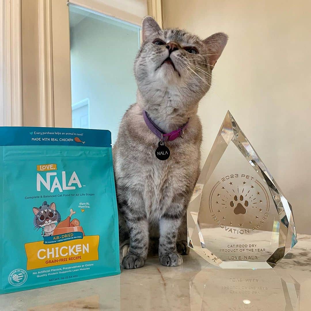 nala_catさんのインスタグラム写真 - (nala_catInstagram)「It’s time!!! PRE-ORDER and save 25% plus, we’re donating a meal to @kittenrescuela for every bag sold! Use coupon code: “AirDried” at checkout!   After years of dedicated research, innovation, and development, we are proud to announce the launch of our latest breakthrough in feline nutrition: Air-Dried Cat Food, crafted with love in the USA.   We want to take a moment to express our deepest gratitude for your unwavering support. Your trust in our recipes for your cherished furry babies means the world to us. We couldn't have embarked on this incredible journey without your love and encouragement. WE LOVE YOU TO THE MOON!!  Love, Nala, Pookie, Shannon & fam  #cats #cat #catsofinstagram #love #lovenala #catfood #nalacat #airdried #sharelifesharelove」10月3日 1時19分 - nala_cat