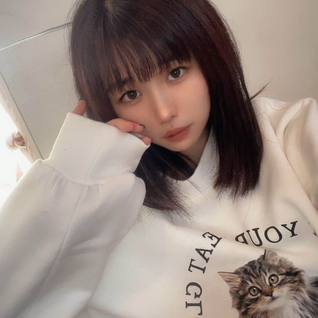 桜川ひめこのインスタグラム：「ねこちゃん……のTシャツに続き 長袖も買ってしまった……  👶が、このねこちゃん気に入りすぎて🐈‍⬛  #idol #アイドル　#ねこ　#猫の服　#猫Tシャツ　#アイドル衣装」