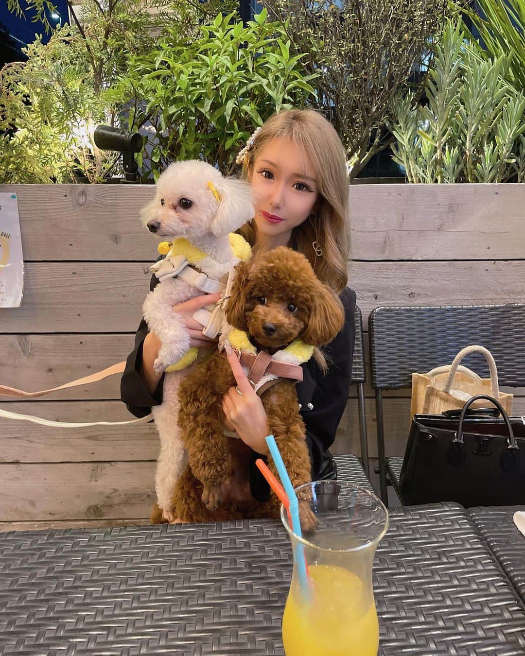 RIIAのインスタグラム：「歩いて来れる距離に可愛いcafeあって嬉しい〜💓 それにしても2匹とも自由過ぎる🤣💦 @the_moana_place」