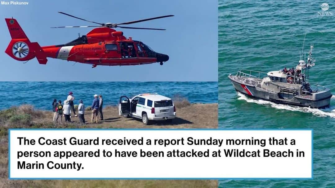 ABC Newsのインスタグラム：「Emergency responders are searching for a missing swimmer who may have been attacked by a shark at Wildcat Beach in Northern California on Sunday, officials said.  The Coast Guard received a report at around 10:40 a.m. that a person appeared to have been attacked by a shark at Point Reyes National Seashore in Marin County.  The latest is at the link in bio.」