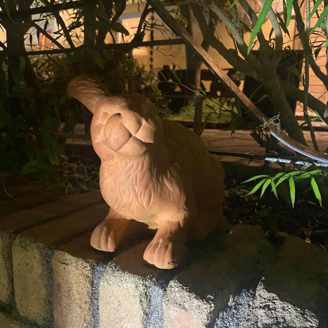 のインスタグラム：「◆GOOD MORNING COFFEE‼︎◆  【THE TERRACE KIMINOMORI】  先日、TRSC大網店から車で15分の希美の森エリアにある"希美の森テラス" @the_terrace_kiminomori さんにお邪魔してきました。  お店はまるで海外のようなロケーションの中にあり、ご飯はもちろん、隣接する"THE FOREST GARDEN" @the.forestgarden ではキャンプスタイルでBBQ、家族連れ、愛犬とも楽しい時間が送れる素敵な場所でした。  もともとご縁があり、TRSCのコーヒーも提供させて頂いてます。都内からも車で1時間、ゴルフ場に隣接してるので景色も最高です。ぜひ皆さんもチェックしてみて下さい！  【WE ARE OPEN】  本日も皆さまのご来店をお待ちしてます！  都内店舗 10:00〜17:00(無休)  大網店舗 11:00〜18:00(月火水木金) 　　　　10:00〜18:00(土日祝)  鶴見店舗 10:00〜18:00(無休)  therisingsuncoffee.com  #coffee #coffeebeans  #coffeeroaster  #coffeelab  #coffeeandsurfing  #coffeetime  #coffeelover  #coffeebreak  #coffeeshop  #coffeestand  #coffeeholic  #coffeehouse  #coffee_inst  #coffeemaker  #coffeeshops  #coffeecoffeecoffee  #coffeenclothes  #coffeeaddict  #coffeeculture  #coffeemorning  #coffeemag #specialitycoffee  #theterracekiminomori  #TRSC」