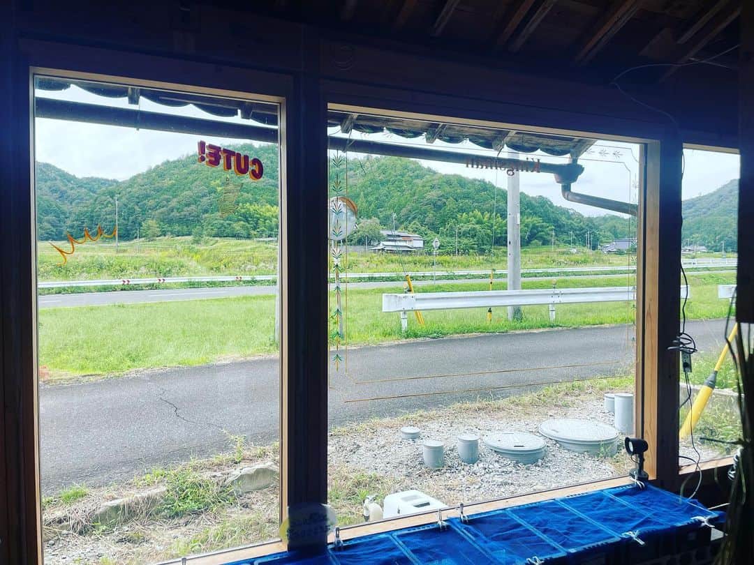 宮田麺児さんのインスタグラム写真 - (宮田麺児Instagram)「テーブルにアマニ油を塗りに また　シルクスクリーンイベントの 準備に綾部まで  錦鯉みたいな　メダカもいてます。  やっぱり　いい家　サードプレイスだなと思う。  #アヤベダファミリア #鳥城三色」10月3日 12時32分 - miyatamenji