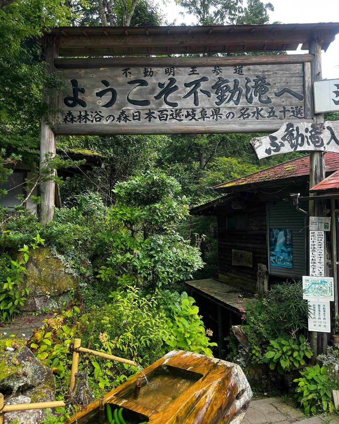 ののさんのインスタグラム写真 - (ののInstagram)「付知峡不動公園 ここでは不動滝、観音滝、千樽の滝が見れるよ 凄い迫力だったなあ 大自然に癒された  #不動滝#観音滝#千樽の滝#付知峡不動公園#付知峡#付知峡不動滝#滝#岐阜県#岐阜観光#岐阜旅行#旅女#トラベルグラム#タビジョ」10月3日 7時27分 - nonoko0309