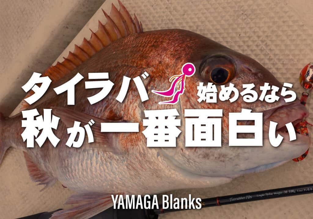 のインスタグラム：「【始めるなら今!!】数もサイズも狙える『秋のタイラバシーズン』突入!! ヤマガのタイラバロッドを全て紹介します!!  https://www.lurenewsr.com/282715/  #ルアーニュース #シーウォーク　#タイラバ　#タイラバロッド  #ヤマガブランクス @yamagablanks_official」