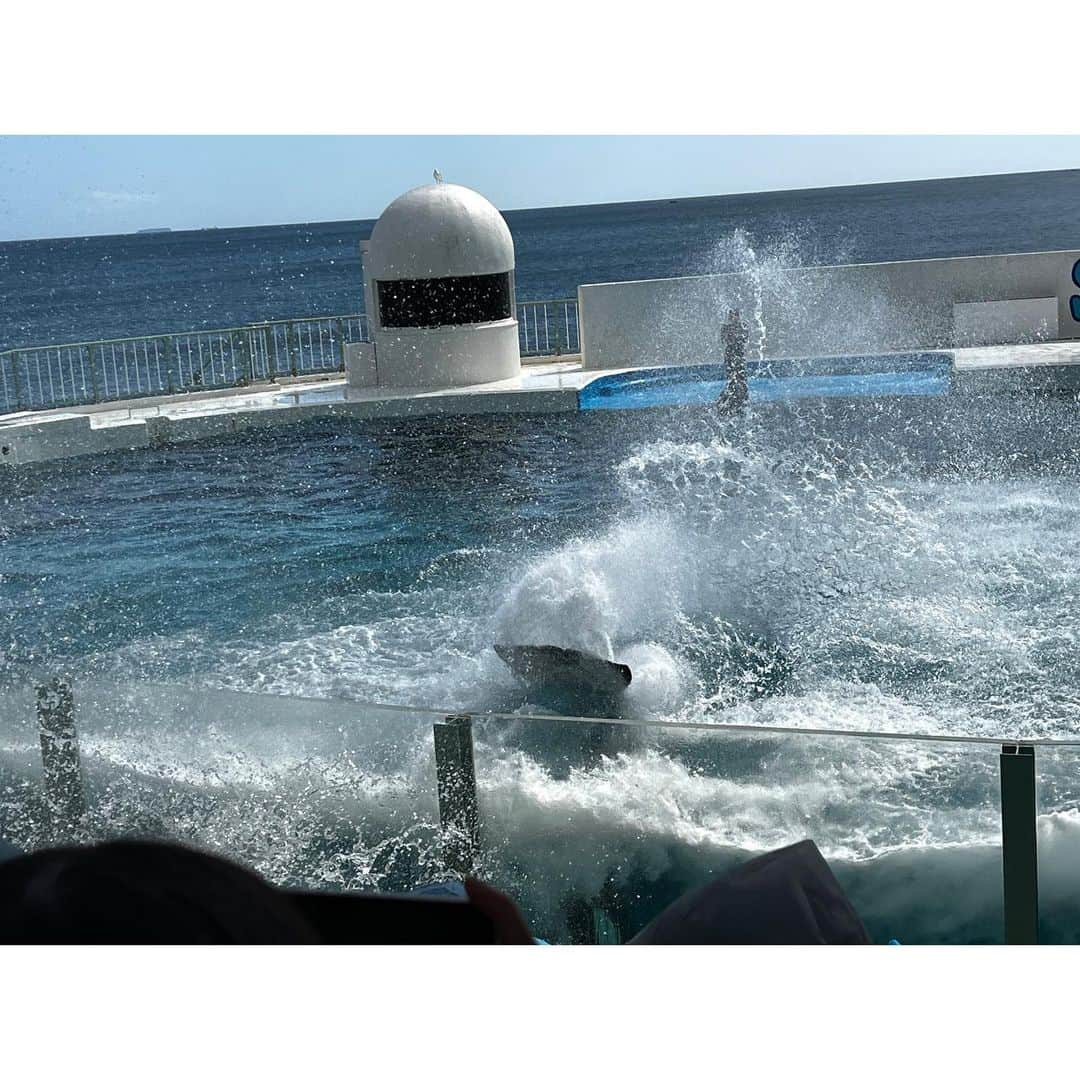 森麻季さんのインスタグラム写真 - (森麻季Instagram)「🐬  9月末に鴨川シーワールドへ  サマースプラッシュが延長していてラッキーでした 上から２段目かろうじて濡れず✌️ 何度見ても楽しいショー  #シャチ #シャチショー  #子連れお出かけ  #5歳 #1歳8ヶ月 #1歳  #お出かけ  #9月の思い出  #アナウンサー」10月3日 9時11分 - maki.mori_m