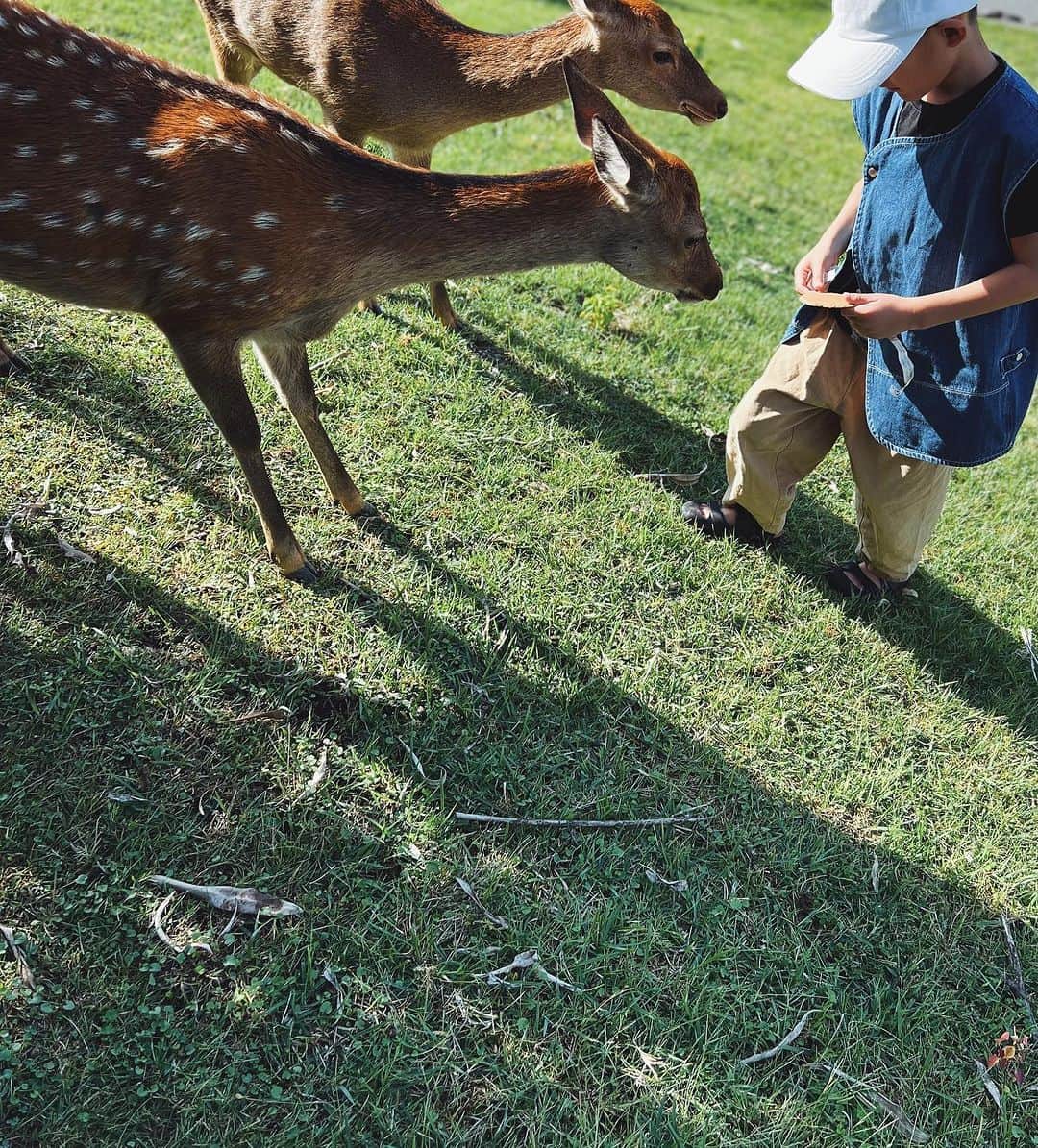 ジュジュのインスタグラム：「好きです♡マリオット奈良🦌🩶  子供welcomeなサービスが盛りだくさんでいて、 大人も楽しめるラグジュアリー感の融合がなんとも♡  とにかくホスピタリティ最高のお宿♡  又、リフレッシュ🌱しに訪れます♡  @jwmarriottnara   #🤎」