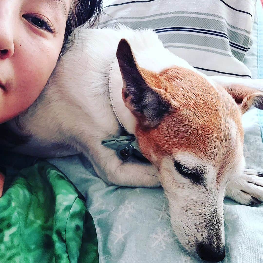 愛華みれさんのインスタグラム写真 - (愛華みれInstagram)「ここるさん  枕にだってなってくれる🎵  ベタベタ好きな私たち♥️」10月3日 9時37分 - mireaika