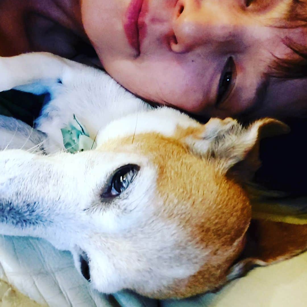 愛華みれさんのインスタグラム写真 - (愛華みれInstagram)「ここるさん  枕にだってなってくれる🎵  ベタベタ好きな私たち♥️」10月3日 9時37分 - mireaika