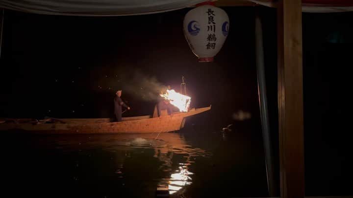 小谷あゆみのインスタグラム：「世界農業遺産！GIAHS清流長良川の鮎ー 夜の闇に浮かぶかがり火、 薪は松の木、 鵜飼の船はコウヤマキと、地域資源と伝統技術と様々な職人が繋がっています 幻想的な鵜飼〜 正直、船から詳しくはなかなか見えません〜 お弁当食べて気分味わうのは楽しいー 酒宴のグループが羨ましいーー 日本農業新聞に書きました。10/2付 川から鮎をはじめとした恵み・食料を頂き感謝を込めてまた川を大切に守る。そうした自然と人の長い長いながーい繋がりは「里川」と呼ばれ、自然や生き物を活用することで人も生かされるWinWin関係を続けてきました。」