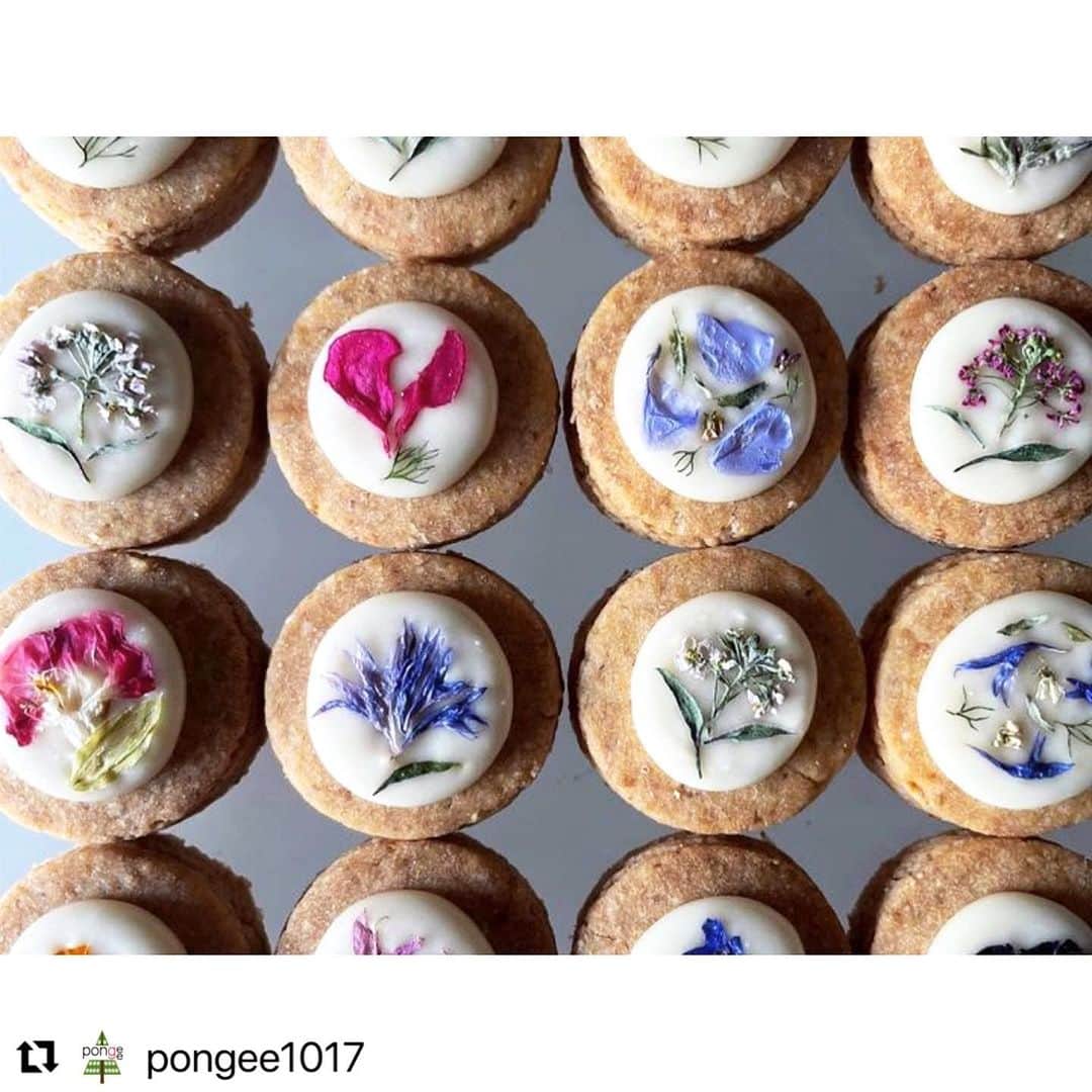 黄川田としえのインスタグラム：「幸せな気持ちになる焼き菓子たち♡見た目ももちろんお味も最高。自分へのご褒美や、贈り物にも最適です。 @_cotito____  ゆかちゃん沢山作ってくれてありがと〜！ #Repost @pongee1017 with @use.repost ・・・ . . 2023exhibition.6 「みんなのお気に入り展」アイテム紹介  ◎黄川田としえさん . . 杉並区西荻窪の人気店 「cotito」さんの焼き菓子の販売をいたします。  トットさんのお気に入りとして ご紹介させていただくという事で なんと12種類のお菓子をご用意してくださいます♡  販売は 10月7日(土)8日(日)9日(祝) 14日(土)15日(日) 11:00-17:00 全日フリーオープンです。  ※前半3日間と後半2日間で 内容が変わる可能性がございます。 ※数に限りがございますので、ご了承ください。  ------------------------------------------------  ・お花と甜菜糖のアイシングクッキー　 ・お花と甜菜糖のアイシングサブレ ・ハナサブレ　プレーン ・ハナサブレ　カモミール ・ハナサブレ　米粉 ・自家製ピーナッツバターサンド ・ショートブレッド ・米粉のクランブルクッキー ・煎茶クッキー ・ジンジャーとホワイトチョコのクッキー ・アーモンドビターチョコソルトクッキー ・自家製ピーナッツバター  ------------------------------------------------  とても丁寧でわかりやすい ご説明も添えてくださいましたので 記載させていただきますね。  ◎お花と甜菜糖のアイシングクッキー 小麦の風味を大切にした全粒粉がたっぷりなシンプルなクッキーに、アイシングとエディブルフラワーをのせました。  ◎お花と甜菜糖のアイシングサブレ (プレーンまたはカモミールのどちらか1枚) プレーンは小麦の風味を大切にした全粒粉がたっぷりなシンプルなサブレ、カモミールは有機カモミールが優しく香るサブレに甜菜糖で作るアイシングとエディブルフラワーをのせました。 (カモミールサブレにはアーモンド使用)  ◎ハナサブレ　(プレーン)　 石臼挽きの低温製粉した国産全粒粉をたっぷり入れた、小麦の風味を大切にしたシンプルな生地に生のエディブルフラワーをのせて焼きました。  ◎ハナサブレ　(カモミール)　 有機カモミールや石臼挽きの低温製粉した国産全粒粉、米粉、アーモンドパウダーなどで作る生地に生のエディブルフラワーをのせて焼く、カモミールが優しく香るサブレです。 (アーモンド使用)  ◎ハナサブレ(米粉)　 国産米粉や有機ココナッツオイル(無香)を使用して作る生地に生のエディブルフラワーをのせて焼きました。 冷やすとココナッツオイルの性質で食感が少し固めに変わっておいしいのでおすすめです。 (アーモンド使用)  ◎自家製ピーナッツバターサンドクッキー　 じっくりローストした有機ピーナッツと有機アーモンドを粗めに砕き、粒の粗い甜菜糖と塩、菜種油を合わせて作った自家製ピーナッツバターを全粒粉と粒の粗い甜菜糖たっぷりのクッキーでサンドしました。 ナッツや甜菜糖、全粒粉のザクザク食感をお楽しみください。(ピーナッツ・アーモンド使用)  ◎ショートブレッド  アーモンドパウダーをたっぷり入れて作るコチトのショートブレッド。(アーモンド使用)  ◎米粉のクランブルクッキー 国産米粉や有機ココナッツオイル(無香)を使用して作る、卵や乳製品、小麦粉不使用のグルテンフリーなクッキーです。 冷やすとココナッツオイルの性質で食感が少し固めに変わっておいしいのでとってもおすすめです。 (アーモンド使用)  ◎煎茶クッキー　　 無農薬煎茶をたっぷり使用したほろ苦いクッキー。  ◎ジンジャーとホワイトチョコのクッキー　　 甜菜糖に浸した国産減農薬生姜とゴロゴロのホワイトチョコが入ったおやつに嬉しいクッキー。 (乳使用)  ◎アーモンドビターチョコソルトクッキー　 有機ビターチョコや有機ココア、有機アーモンドスライス使用したビターなクッキーに塩をアクセントにのせました。(アーモンド使用)  ◎自家製ピーナッツバター　1瓶(70ｇ)　 じっくりローストした有機ピーナッツと有機アーモンドを粗めに砕き、甜菜糖と塩、菜種油を合わせて作っています。ナッツと甜菜糖のザクザク食感と甘さ控えめだけど塩気がくせになるピーナッツバター。パンやクラッカー、和え物などお好みでお使いください。(アーモンド・ピーナッツ使用)  ------------------------------------------------  2023exhibition.6 「みんなのお気に入り展」  会期： 2023年 10月7日(土) 8日(日) 9日(祝)14日(土)15日(日) 11:00-17:00  開催場所:  横浜市都筑区荏田南2-4-5 @pongee1017   #みんなのお気に入り展 #焼き菓子  #cotito」