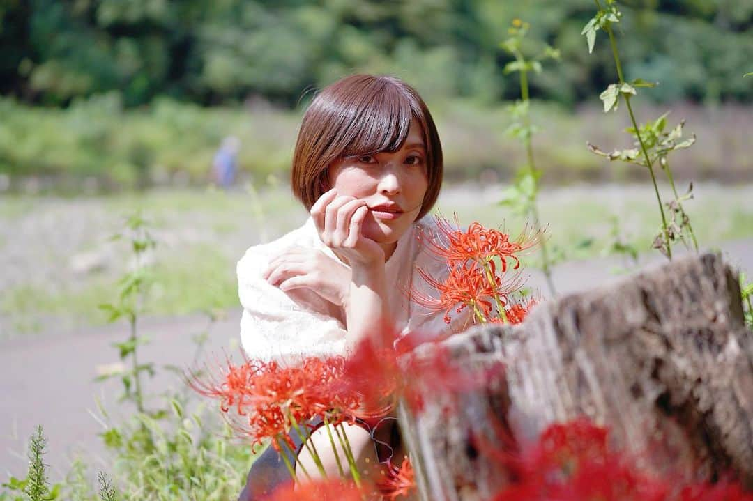 可愛ゆりあさんのインスタグラム写真 - (可愛ゆりあInstagram)「曼珠沙華🌺  #ポートレート　#ポートレート撮影 #ポートレートモデル　#portrait #曼珠沙華　#花と私　#プルクラ撮影会 #撮影モデル　#撮影会モデル」10月3日 10時13分 - smilrina.love