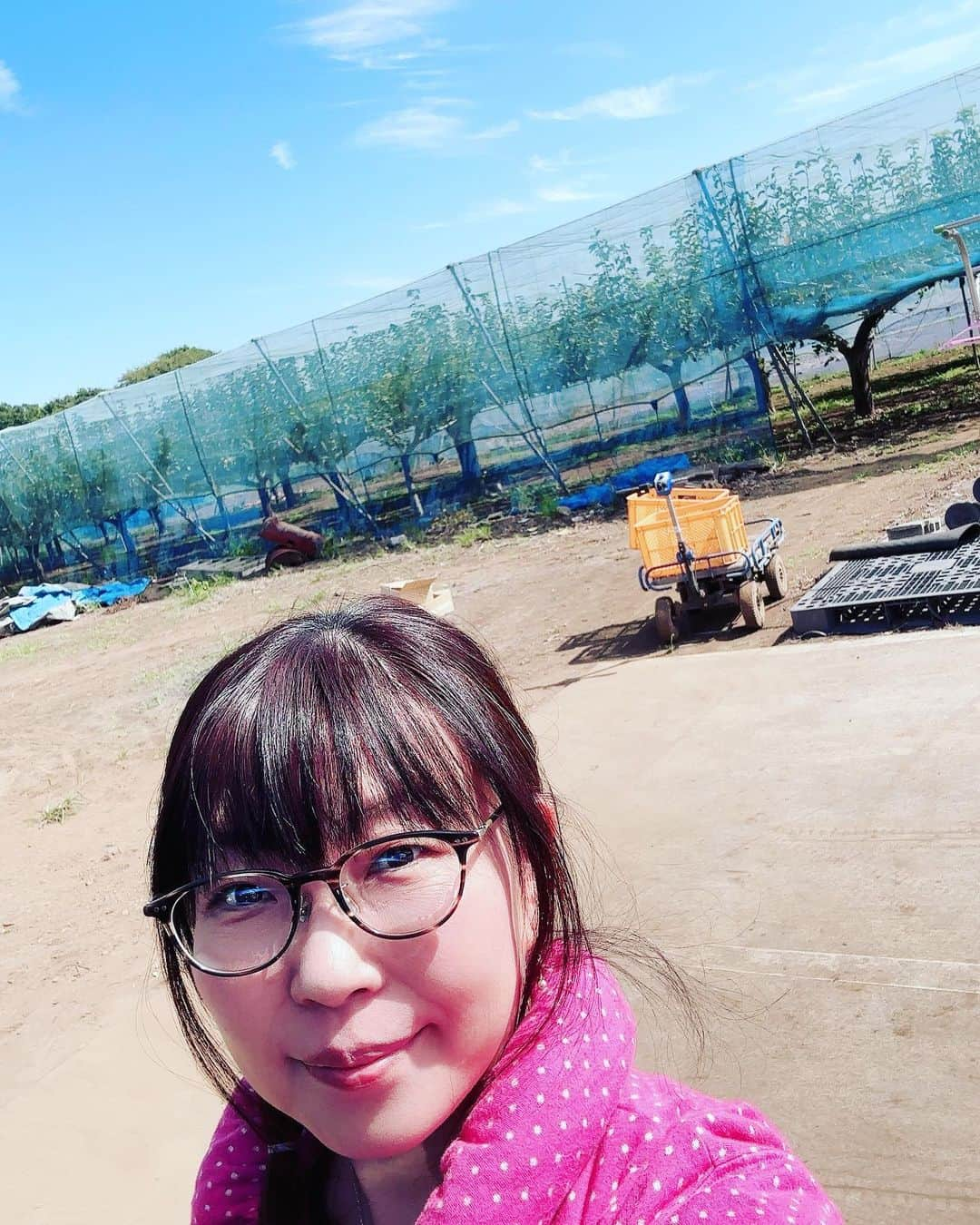 松井理子のインスタグラム：「今日は旦那様と千葉県の #小川梨園 に梨狩りにきたよ！！  めっちゃ大きいのどれもー✨✨  ogawa-nashien.com  #仲良し夫婦 #梨狩り #梨農園 #千葉県白山」