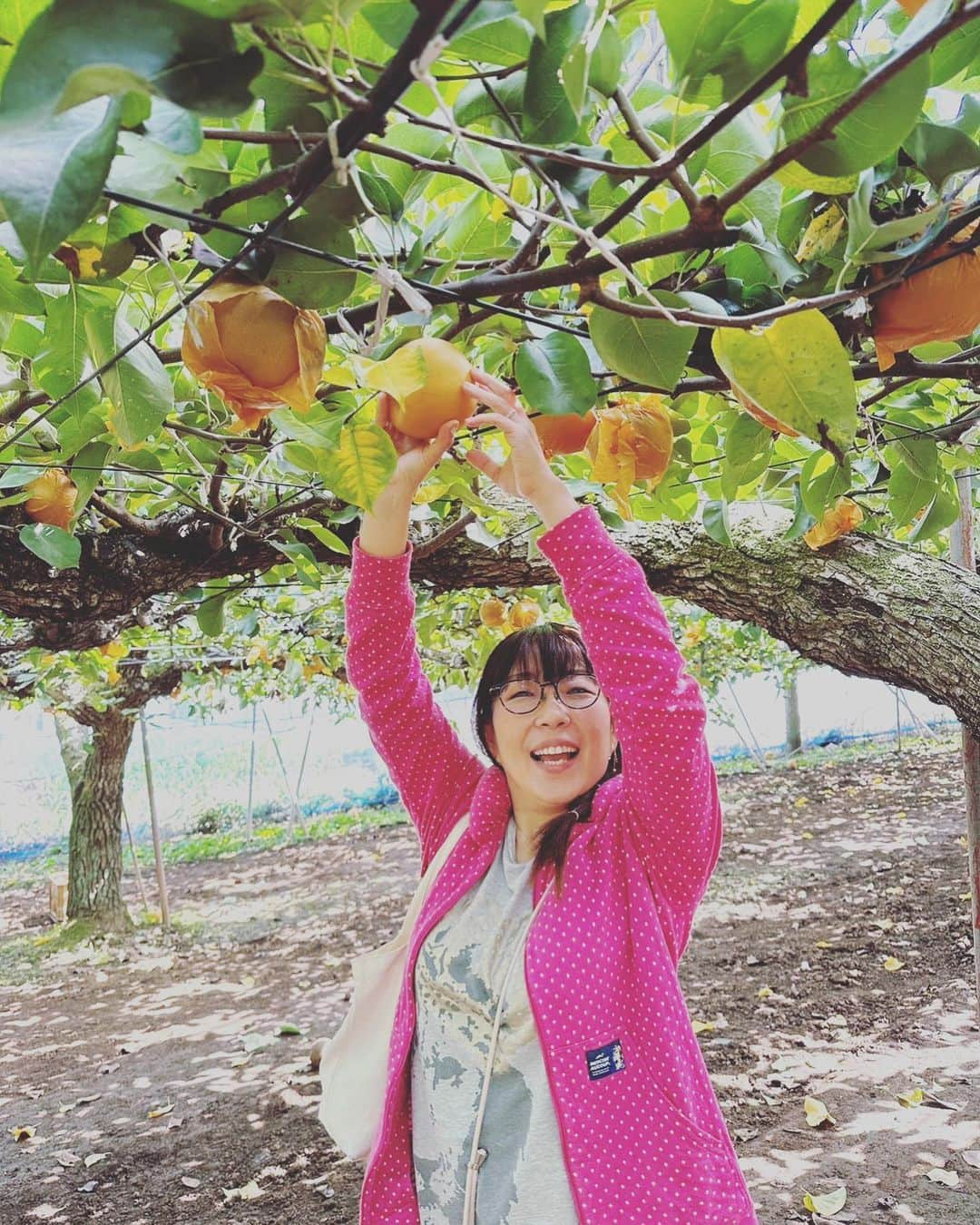 松井理子さんのインスタグラム写真 - (松井理子Instagram)「今日は旦那様と千葉県の #小川梨園 に梨狩りにきたよ！！  めっちゃ大きいのどれもー✨✨  ogawa-nashien.com  #仲良し夫婦 #梨狩り #梨農園 #千葉県白山」10月3日 20時27分 - ume_ume_phot