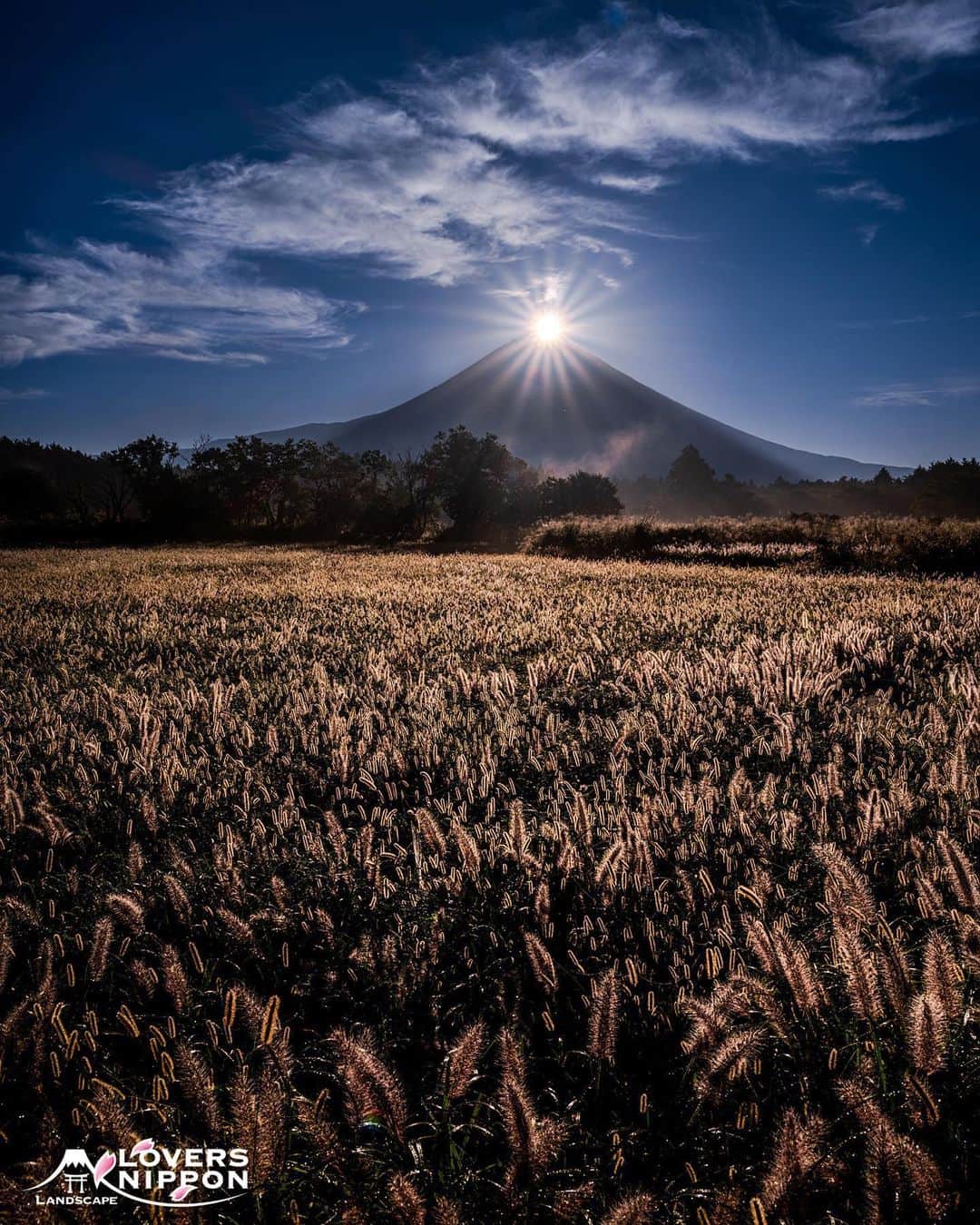 のインスタグラム：「🇯🇵Today's LoversNippon Selection🇯🇵 . Artist｜@riki.tamura Selected｜@nakashi726 . Follow : @lovers_nippon Tag : #lovers_nippon ＿＿＿＿＿＿＿＿＿＿＿＿＿＿＿＿＿＿＿ ￣￣￣￣￣￣￣￣￣￣￣￣￣￣￣￣￣￣￣￣ @riki.tamura 様 おめでとうございます✨ 素敵な作品にタグ付けありがとうございます🙏 今後ともLoversNipponを宜しくお願い致します✨ ＿＿＿＿＿＿＿＿＿＿＿＿＿＿＿＿＿＿＿＿ ￣￣￣￣￣￣￣￣￣￣￣￣￣￣￣￣￣￣￣￣ #日本 #風景 #写真 #風景写真 #scenery #nature」