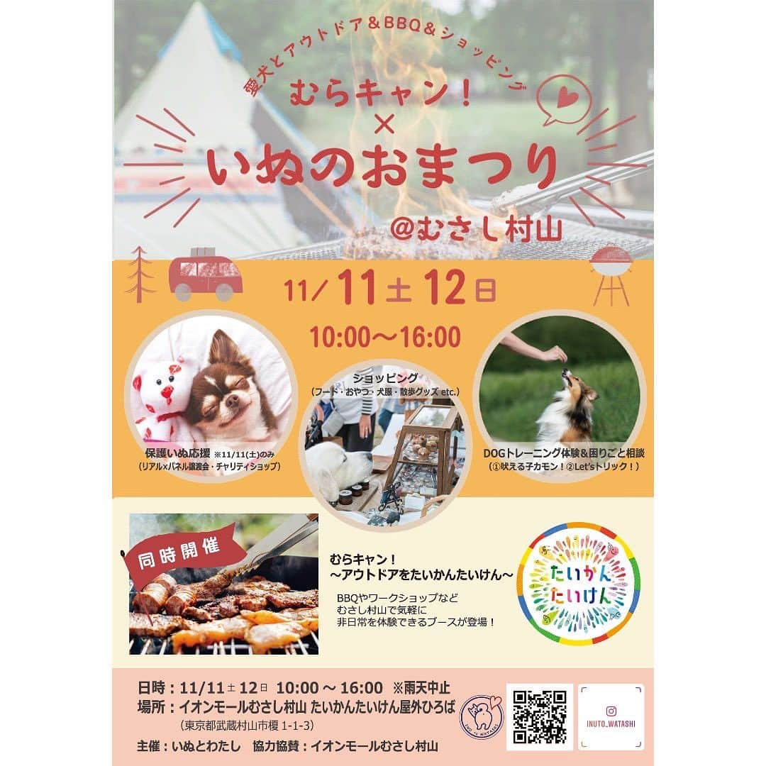 甲斐麻美のインスタグラム：「・ \\ むらキャン×いぬのおまつり11/11(土)・12(日) 　　　　　　@イオンモールむさし村山 //  フライヤーが完成しましたー！  なんと！！ イオンモールむさし村山さんのアウトドア企画とクロス開催！ ショッピングやケア、コミュニケーションなどの体験コンテンツに加えて いぬと一緒にアウトドア体験ができる、 ワクワクの企画が満載です👍  11/11(土)、12(日)の連日開催🚩 10〜16時までたっぷり楽しめます🐕🐾  ワンコも大人も子どもも、 外で過ごすのが気持ちのいい季節🍁 ぜひ、ご家族みなさんで遊びに来てくださいね！  いぬのおまつりを一緒に盛り上げてくれる 出店者様の発表と むらキャン企画の発表もお楽しみに！  また、いぬのおまつりをサポートしてくれる サポーターさんも募集しております🥰  サポーターとして 私たちと一緒におまつりをつくり、 イベントを楽しみましょう♩ ご応募お待ちしております💓  ============== 　いぬのおまつり ============== 日時：11/11(土)12(日)10:00～16:00 ※雨天中止 場所：イオンモールむさし村山たいかんたいけん屋外ひろば （東京都武蔵村山市榎1-1-3）  #いぬのおまつり #いぬとわたし #犬イベント #草加 #武蔵村山 #フライヤー完成 #犬との暮らしを楽しむ」