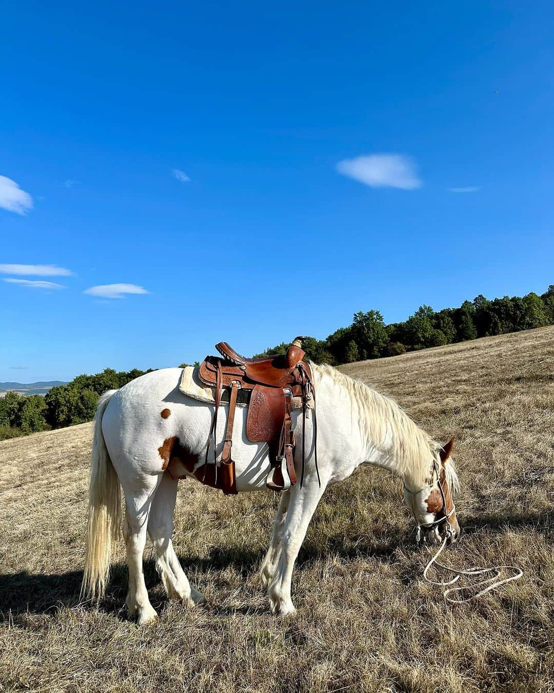 レスレイ・チアンさんのインスタグラム写真 - (レスレイ・チアンInstagram)「🇧🇬🐎 Horseback riding in the mountains of Bulgaria. To canter and gallop in the wild ~ Oh, what a wonderful world!」10月3日 21時28分 - lesleychianglove