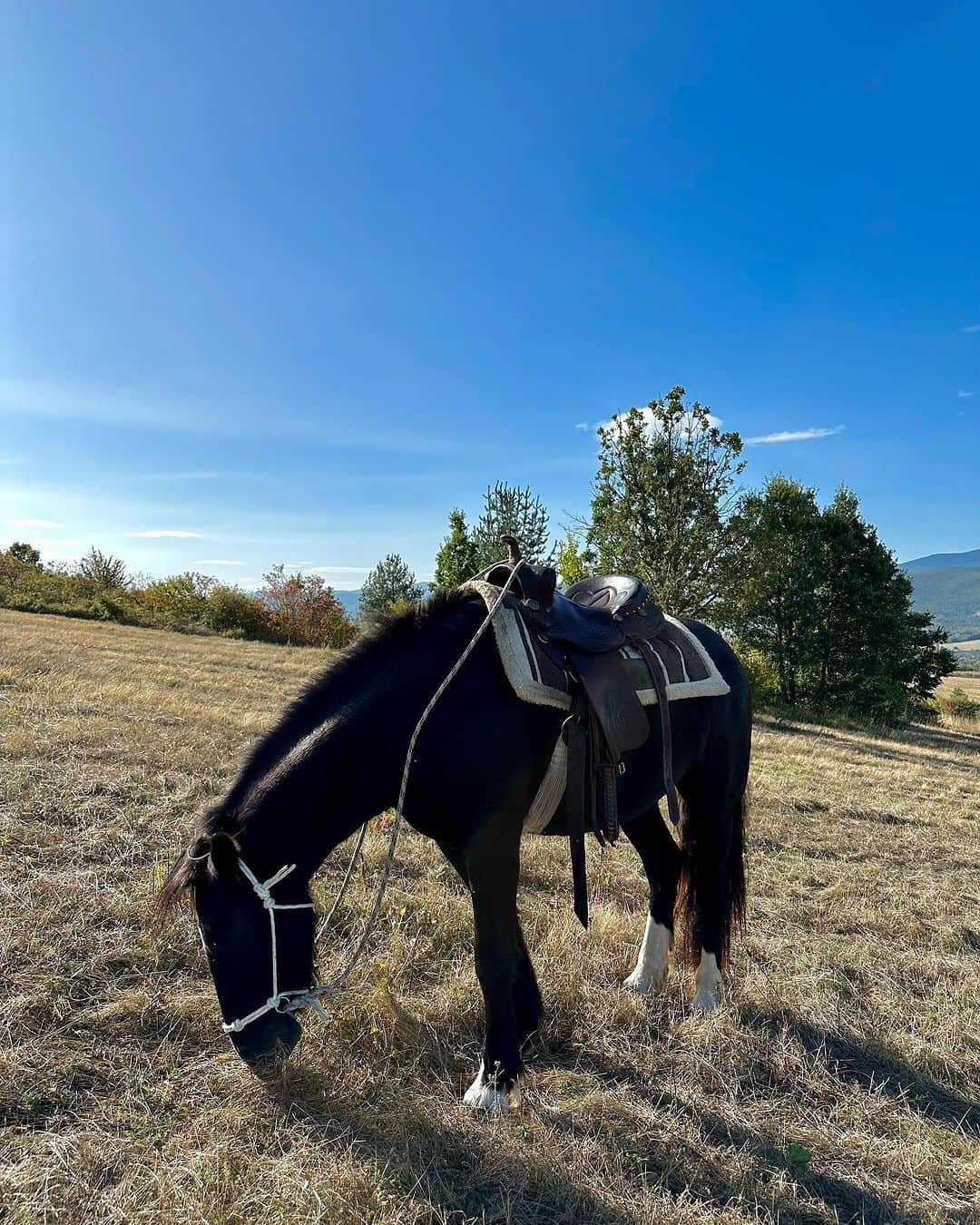 レスレイ・チアンさんのインスタグラム写真 - (レスレイ・チアンInstagram)「🇧🇬🐎 Horseback riding in the mountains of Bulgaria. To canter and gallop in the wild ~ Oh, what a wonderful world!」10月3日 21時28分 - lesleychianglove