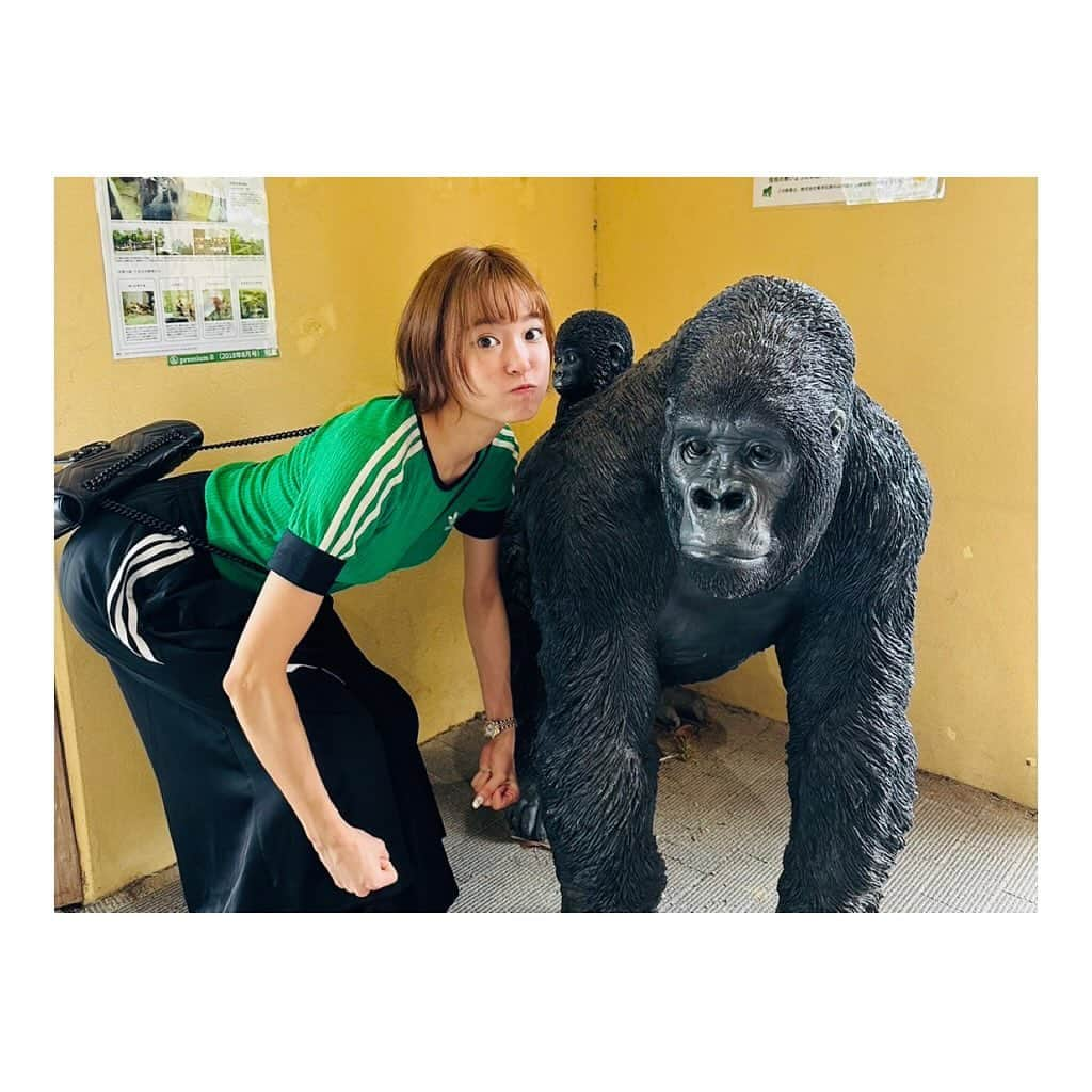 中山こころさんのインスタグラム写真 - (中山こころInstagram)「🦍🦍🦍🦍  久しぶりにモモタロウファミリーに会いに行ってきた🤍 家族4ショットまで撮れてご満悦☺ 相変わらずイケメンや😭🙏」10月3日 13時46分 - coocoorooo