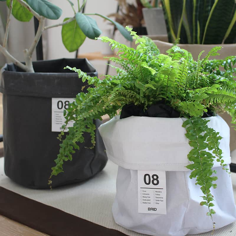 BRID 【NEXTANDARD MARKET】のインスタグラム：「. PLANTER COVER 8  植物の鉢をそのまま入れるだけで手軽にお部屋の内装や家具の雰囲気とあわせられるプランターカバーは、インテリアにこだわりながら植物育成を楽しみたい方におすすめのアイテム。  ファブリックカバーの折り返し幅を調整することで、様々なプランターの高さに合わせて使えます。  内袋にはコードストッパーがついているため、水やり後は開けておくことで通気性が確保でき、絞ればお子様やペットによる土いじりなどを気にせず観葉植物を置くことができます。  使わない時には畳んでコンパクトに収納できるのもファブリックカバーならでは。 使いやすさ抜群のプランターカバーです。  Color : White / Light gray / Dark gray / Beige / Brown  商品の詳細は画像に貼ってあるリンクから、 サイズ違いはプロフィールのリンクからご覧ください。 →@brid_japan  #brid_japan #bridのある暮らし #ブリッド #MERCROS #メルクロス #プランターカバー #鉢カバー #植物のある暮らし #観葉植物 #観葉植物のある暮らし #インドアグリーンのある暮らし #グリーンインテリア」