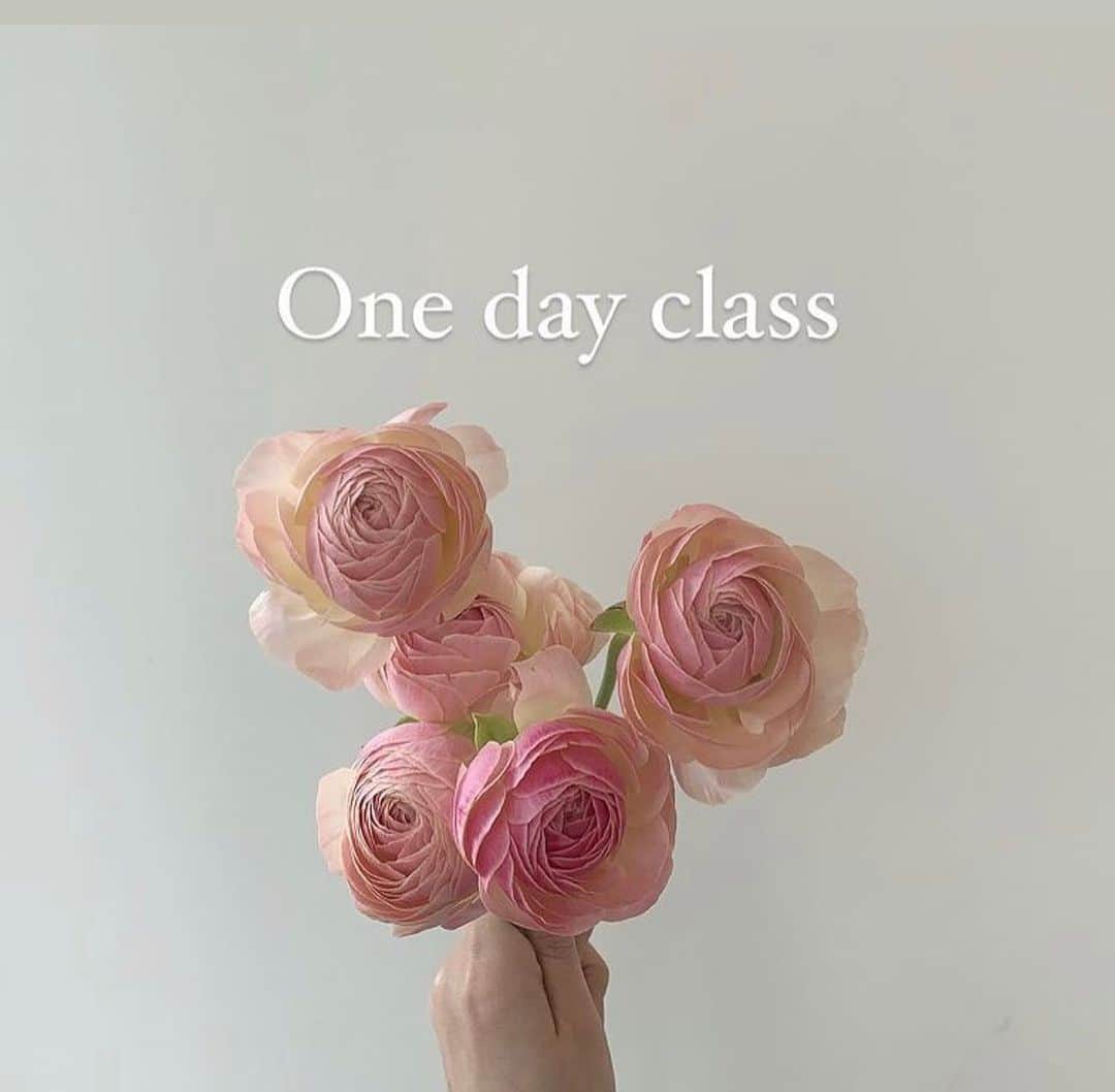 플로리스트 이주연 florist Lee Ju Yeonのインスタグラム：「. . Vaness flower Oneday class 바네스플라워 10월 원데이클래스   10/16 월 꽃다발 10:00am   10/20 금 고급꽃다발 10:00am   10/18 수 꽃다발 10:00am   10/21 토 꽃바구니 10:30am   10/25 수 대형꽃다발 10:00am  . 문의 DM, 인스타상단링크 카카오채널 바네스플라워  카카오톡ID vaness52  인원 5명이하 수업소요시간 2시간30분-3시간  주차 지하주차장 2시간무료주차」