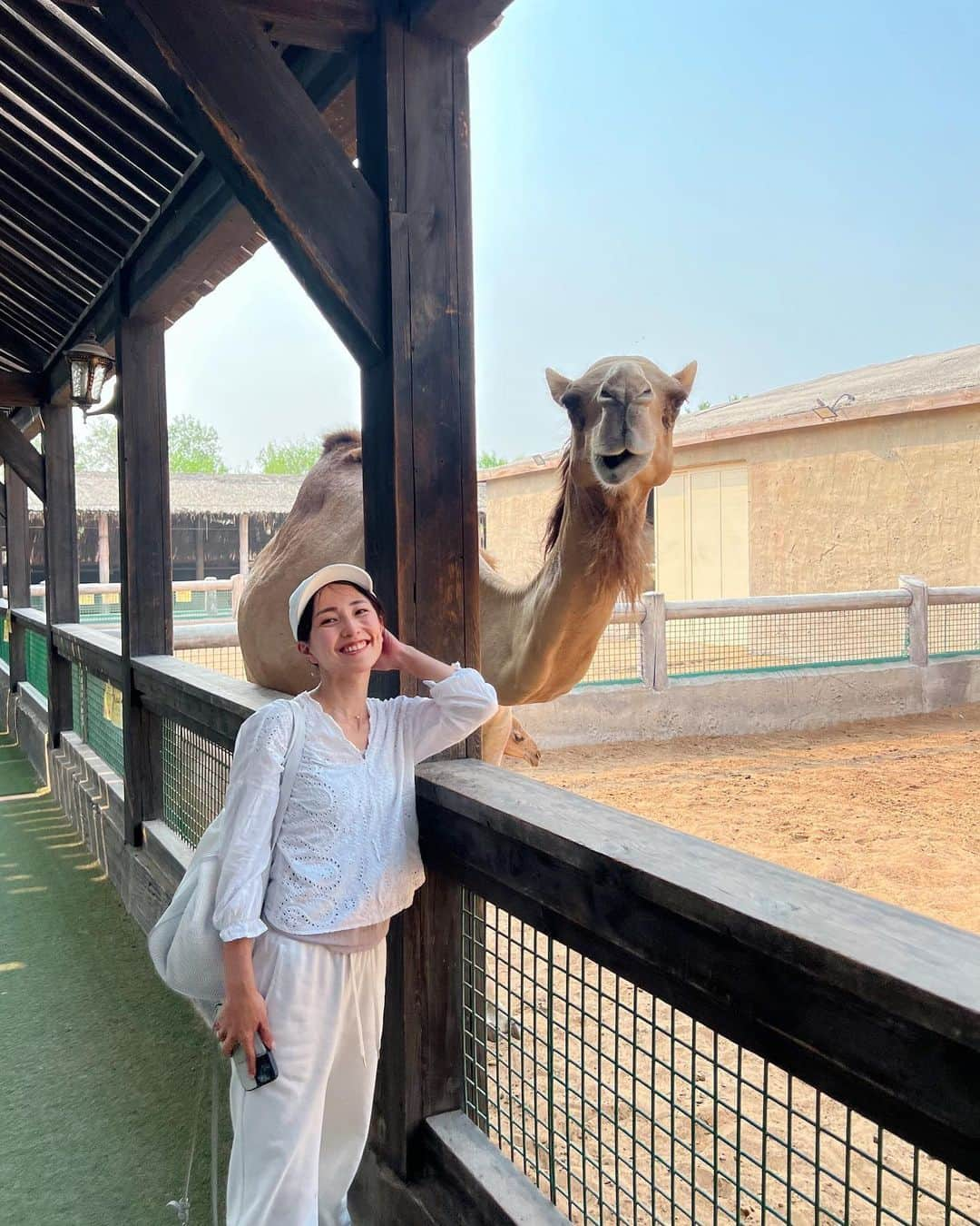 Remiさんのインスタグラム写真 - (RemiInstagram)「Abu Dhabi, UAE🇦🇪 ドバイから車で1時間、アブダビへ！ 砂漠の中の動物園、エミレーツパークズーのホテルにお泊り！ お部屋からキリンが見えて贅沢！！ ラクダとセルフィーしたり、夜の動物園を満喫したり、プールも楽しめて、子連れにおすすめ！！  私は砂アレルギー疑惑で体調不良になりつつも、ラクダに会えて幸せでした🐪☀️  ------------ 📍 #AbuDhabi #UAE 🐘 #EmiratesParkZoo 🗓 2023.10.1-2  #アブダビ #ドバイ移住  #子連れ世界一周 #世界一周 #worldroundtravel #remi_world2023 #lovetabi #lovetabimama」10月3日 16時54分 - remi_912