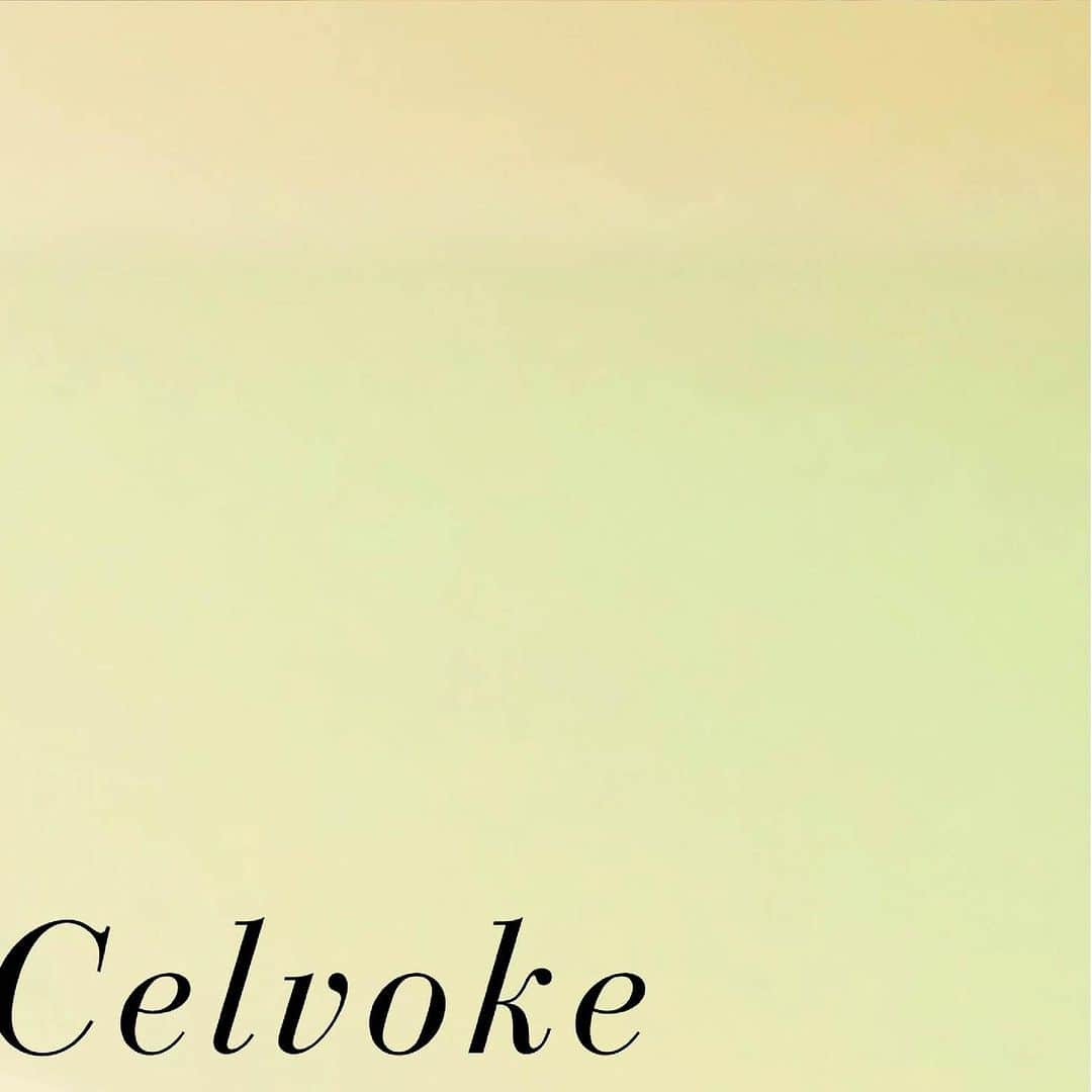 celvoke.jpのインスタグラム