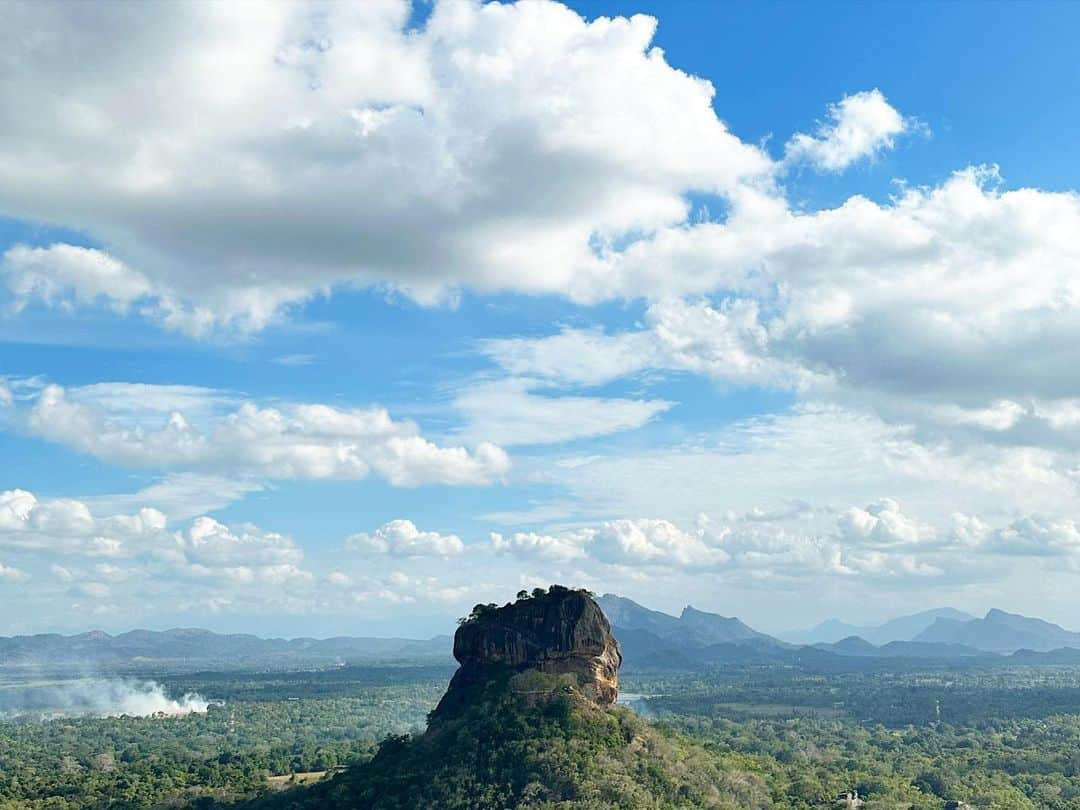 関根祥子のインスタグラム：「スリランカ🇱🇰🌿記録  ✴︎シーギリアロックを一望 ✴︎ ピドゥランガラロックの涅槃像 ✴︎木彫り職人 ✴︎天然着色料 ✴︎キング🥥 ✴︎街中はバイクいっぱい運転もらみんな過激😂 ✴︎毎日食べたパパイヤと、この度でハマったCARD水牛のヨーグルト！ ✴︎シルクでオーダーのパンツをつくってもらった ✴︎カンダラマの夕日」