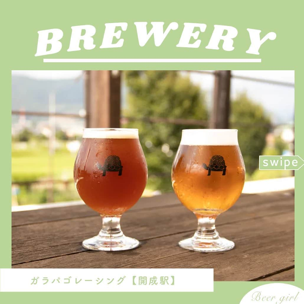 【ビール女子 -Beergirl.net-】さんのインスタグラム写真 - (【ビール女子 -Beergirl.net-】Instagram)「新宿から小田急線に揺られること約1時間30分。ゆっくりした時間の流れる町小田原の1つ前の駅である開成駅にあるブルワリー「ガラパゴレーシング」。  「ガラパゴレーシング」は、お客さんを想う気持ちやビールの先輩方への感謝が込められてつけられた店名。またかわいいリクガメの看板にも醸造長の想いが。クラフトビールファンだけでなく、近所の方からも愛されるこのブルワリーの魅力を今日はお伝えします。  もっと知りたい！という方に向けて、詳細は「ビール女子」HPにて紹介しています！アカウントプロフィールのURL（ビール女子HP）より「ガラパゴレーシング」と検索してご覧ください🍺  #ガラパゴレーシング #ガラパゴレーシング #ガラパゴレーシングアンバー #開成町 #アンバーエール #セゾン #南高梅 #ブルワリーレストラン #ビアダイニング #ビアバー #ビアカフェ #ビール大好き #ビール #beer #クラフトビール #craftbeer #ビール女子 #ビアスタグラム #ビール好きな人と繋がりたい #beergirl #ビール党 #ビールで明日を幸せに #ビール好きと繋がりたい #ビールで乾杯 #ビールで笑顔に」10月3日 17時58分 - beergirl_net