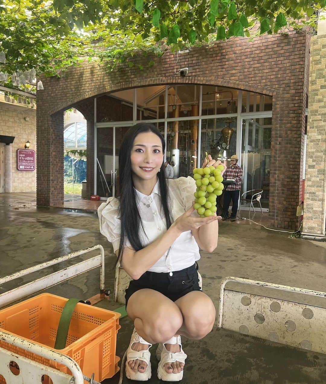 青山千夏のインスタグラム：「収穫🍇 採れたてシャインマスカットめちゃ美味しかった〜😋  #中伊豆 #中伊豆ワイナリー  #シャインマスカット #グランピング #女子旅  #nakaizuwinery  #shinemuscat  #travelgram」