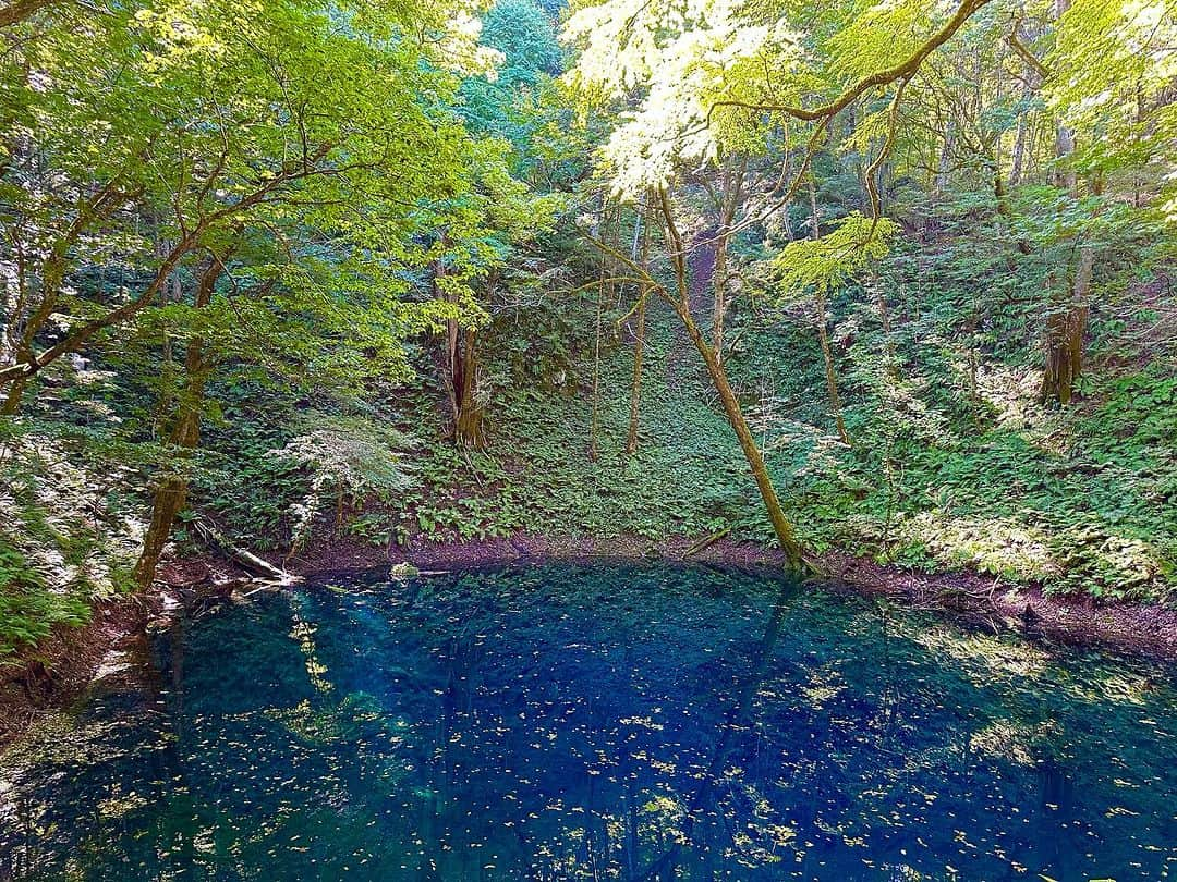 高橋美帆のインスタグラム：「♨︎  東北秘湯巡り&伝統工芸品の旅  藤七温泉はいけすのような混浴露天風呂でした🐟 連日の硫黄濃いめの温泉で数日間においが抜けず… 目もめっちゃ痛かった😂😂 硫黄最強は松川温泉(岩手県)に決定🧖‍♀️♨︎♨︎♨︎  #青池  #白神十二湖  #燕三条  #包丁工房タダフサ  #ねぶた  #ブナ材  #ブナコ  #南部鉄器  #きりたんぽ  #きりたんぽ鍋  #藤七温泉  #藤七温泉彩雲荘」