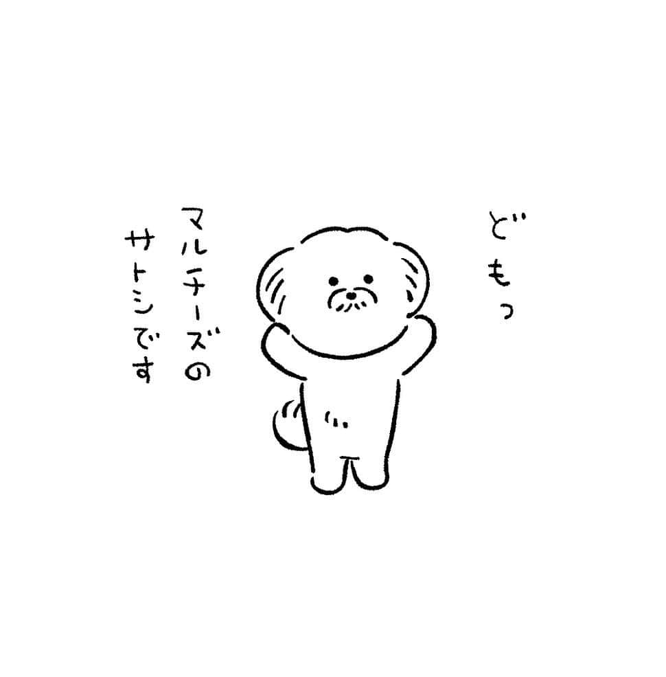 eskのインスタグラム：「: : えー、マルチーズのサトシくんにご紹介いただきまして（できてない）  昨年結成した我ら「アニマルズ」が、白いモフモフの祭典 《モッフンフェスティボー》を開催することになりました！  白いモフモフのイッヌをテーマにしたアートやグッズの展示販売、絵付けや似顔絵のワークショップなんかもやっちゃいます。 あー想像しただけで楽しそう！  私はここでしか見れない描き下ろし原画と、ステッカーやポストカードを叩き売りしやす。サトシも買えるよっ  会場はドッグカフェなので、おそらくモフモフワンちゃんと戯れ放題🐩🦮🐕‍🦺✨  イベントまでの経過や詳細は @moffu.n ←こちらで随時更新してますのでチェックしてくださいね😊 ※フォローもしてくれたらみんなヤル気でますッ❤️‍🔥  ーーーーーーーーーーーーーーーーー モッフンフェスティボー開催決定‼️  モフモフなアートやグッズの展示販売と ワークショップを行います。 ◼︎日時　11/18,19 11:00〜17:00 ◼︎場所　新富町 INXXcafe @inxxcafe  ◼︎参加アーティスト　 吉泉ゆう子　@yuko_yoshiizumi ちぎらはるな @chigiraccyo 大沢かずみ @kazmiosawa esk @esk_illust ココロママ @maltese_cocoro0917 mochi @mochi.mochi.handmade ーーーーーーーーーーーーーーーーー」
