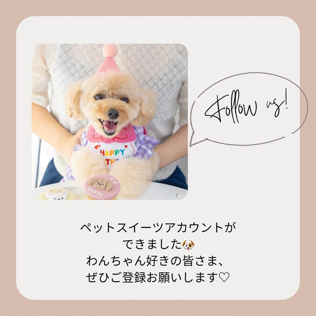 日本サロネーゼ協会さんのインスタグラム写真 - (日本サロネーゼ協会Instagram)「. . ＼わんちゃんアカウント🐶／  わんちゃん投稿が増えてきましたので、クラフト専用アカウント(@jsa.craft )に続き、 ドギースイーツ専用アカウントを 開設しました🐶  @jsa.petsweets  ぜひフォローしてくださいね🐾  ドッグカフェ @licorne_ashiya の わんちゃんスイーツや 講座レポート、 受講生の作品やわんちゃんなど ご紹介していきますので、 お楽しみに🐶  #ドギーデコスイーツ #ドギーデコスイーツ認定講座  #犬スイーツ #犬用スイーツ #犬ケーキ #わんこケーキ教室  #わんこケーキ #犬ケーキ手作り  #犬のパーティー #犬のバースデーケーキ  #犬のバースデー #わんこ誕生日  #わんこ誕生日ケーキ #犬誕生日  #犬誕生日ケーキ」10月3日 18時39分 - japan.salonaise.association