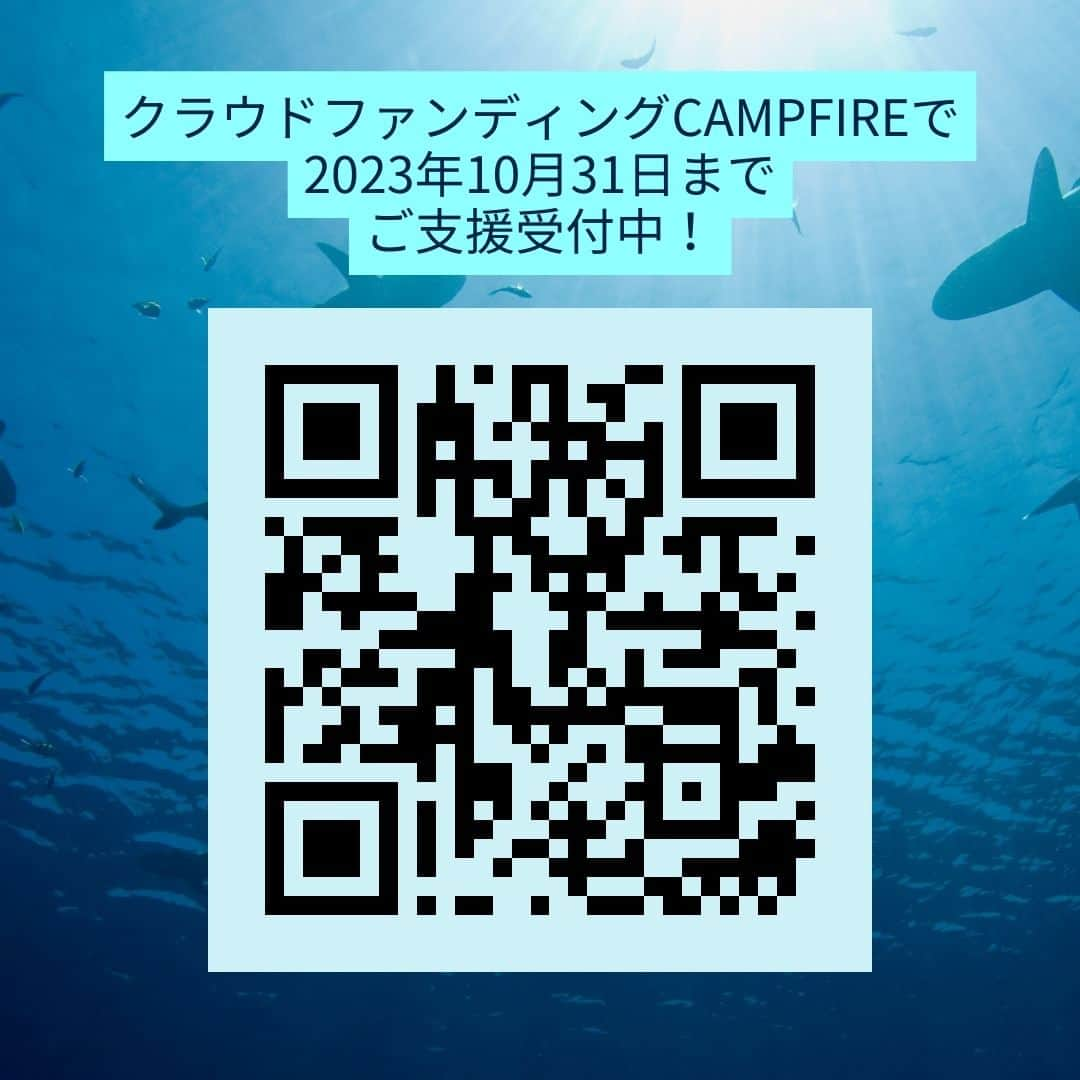 河崎実さんのインスタグラム写真 - (河崎実Instagram)「ライオンとヒョウに襲われた松島トモ子さんがサメと戦います！  松島トモ子主演 ボードゲーム『サメポリー』プロモーションショートムービー製作支援者募集！ https://camp-fire.jp/projects/view/709756  #サメ #サメポリー #クラウドファンディングCAMPFIRE #河崎実 #ボードゲーム #松島トモ子 #ゆうぞう」10月3日 18時59分 - kawasakiminoru