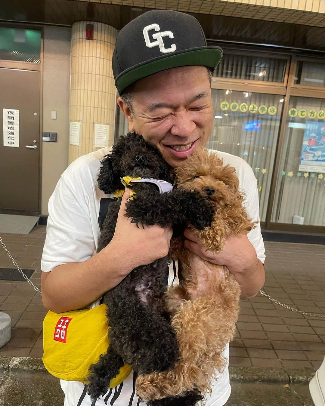 杉本知香さんのインスタグラム写真 - (杉本知香Instagram)「兼光くんちの保護犬の ビスマルクくん&レオナルドくん 可愛い過ぎた😍  #中目黒美容室 #FUJIWARA原西#FUJIWARA #プラスマイナス兼光#プラスマイナス」10月3日 19時00分 - sugimotoc