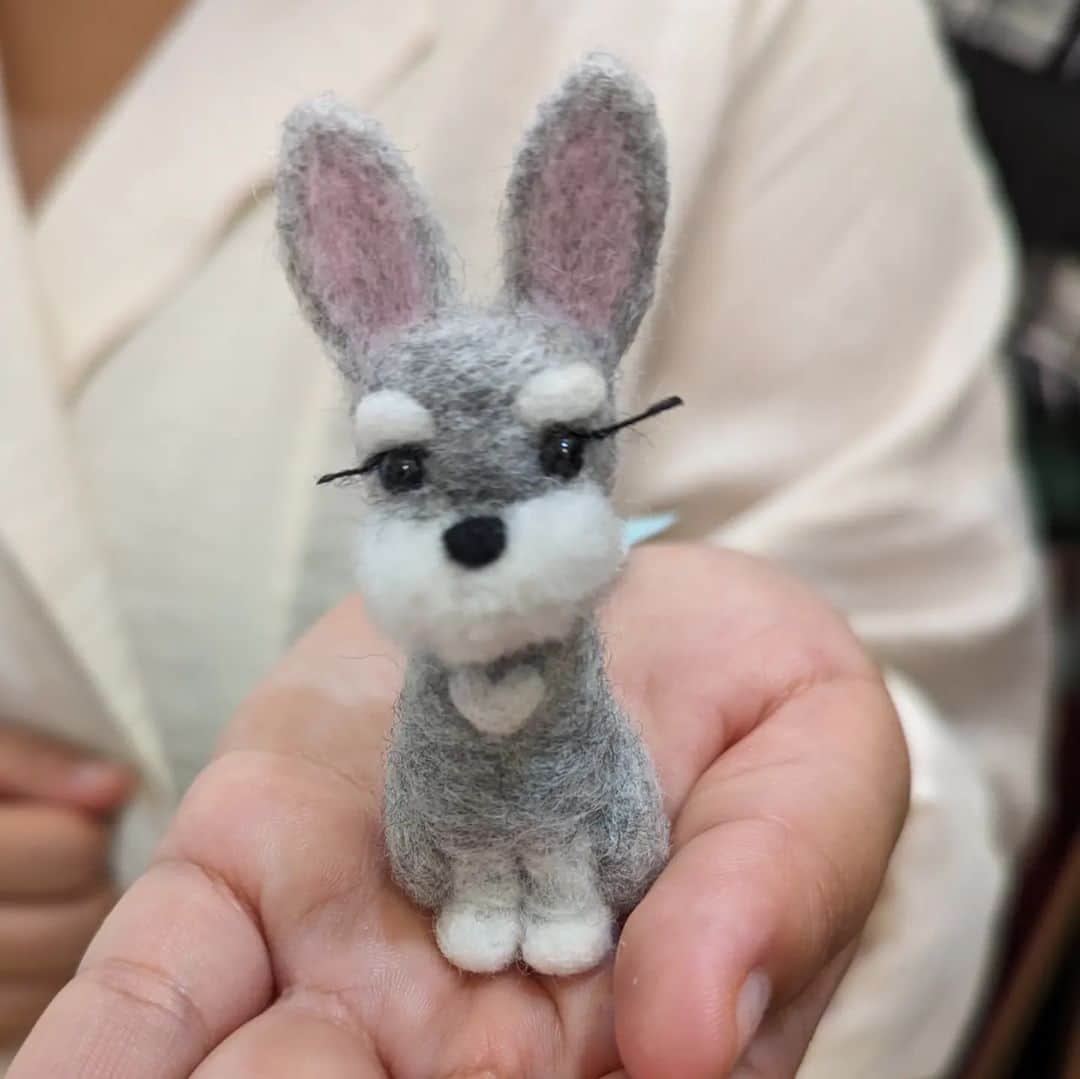 平井富子さんのインスタグラム写真 - (平井富子Instagram)「LAからTinaさんがお立ち寄り〜  日本語がとても上手なので日本の方かと、、仕事で来日、2回目らしい。  フェルトで作成したシュナイザーの人形等を気に入って頂きました。シュナイザーを飼っているらしく、写真を見せて頂きました。そっくり～　 可愛い❤  明日帰国とか。最後の日に来て頂き感謝です! また、東京にいらしたら お立ち寄り下さい〜」10月3日 19時07分 - enchantewithd