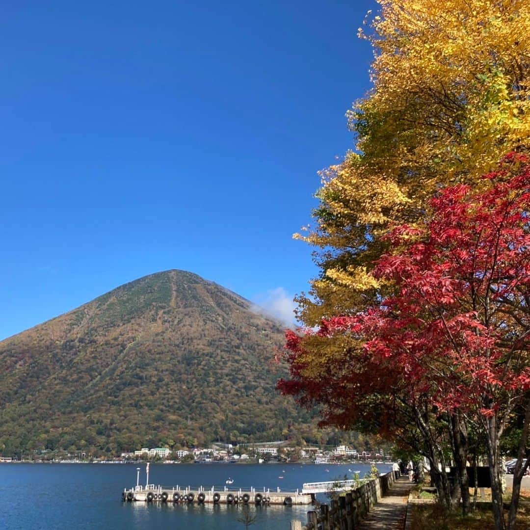 星野リゾート 界の若者旅さんのインスタグラム写真 - (星野リゾート 界の若者旅Instagram)「界 日光では「紅葉オープンバスツアー」を10/13~11/5の期間で開催します。界 日光を発着する「いろは坂ルート」はいろは坂を周遊し、色鮮やかな山々の紅葉や、頭上間近に迫る紅葉を楽しむことができます。日本の道100選にも名を連ねる「いろは坂」は、下りと上りを合わせて48カーブあることから、「いろは48音」になぞらえて名がつけられたと言われています。ぜひ、中禅寺湖や男体山を望む混雑なしのもみじ狩りを存分にお楽しみください。  KAI Nikko will hold the "Autumn Foliage Open Bus Tour" from October 13 to November 5. The "Iroha-zaka Route," starting and ending at KAI Nikko, will take you around the "Iroha-zaka slope," where you can enjoy the colorful autumn leaves of the mountains and the autumn leaves that are almost over your head. "Iroha-zaka slope," one of the 100 best roads in Japan, is said to have been named after the "48 syllables of Iroha (ABC)" because of its 48 curves, both downhill and uphill. We hope you thoroughly enjoy the crowd-free maple leaf picking with a view of Lake Chuzenji and Mt. Nantai.  #星野リゾート #界 #界日光 #栃木 #日光 #中禅寺温泉 #温泉 #温泉旅館 #温泉旅行 #中禅寺湖  #男体山 #いろは坂 #紅葉 #hoshinoresorts  #kai #kainikko #Japantravel #hotsprings #onsen #ryokan #nikko #autumn #foliage #bus #tour」10月3日 19時08分 - hoshinoresorts.kai