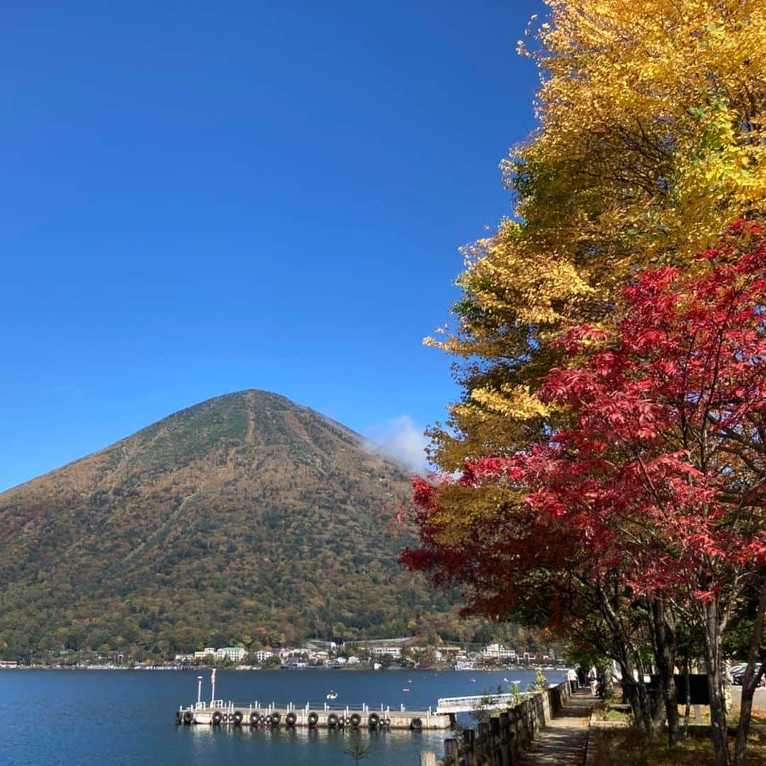 星野リゾート 界の若者旅のインスタグラム：「界 日光では「紅葉オープンバスツアー」を10/13~11/5の期間で開催します。界 日光を発着する「いろは坂ルート」はいろは坂を周遊し、色鮮やかな山々の紅葉や、頭上間近に迫る紅葉を楽しむことができます。日本の道100選にも名を連ねる「いろは坂」は、下りと上りを合わせて48カーブあることから、「いろは48音」になぞらえて名がつけられたと言われています。ぜひ、中禅寺湖や男体山を望む混雑なしのもみじ狩りを存分にお楽しみください。  KAI Nikko will hold the "Autumn Foliage Open Bus Tour" from October 13 to November 5. The "Iroha-zaka Route," starting and ending at KAI Nikko, will take you around the "Iroha-zaka slope," where you can enjoy the colorful autumn leaves of the mountains and the autumn leaves that are almost over your head. "Iroha-zaka slope," one of the 100 best roads in Japan, is said to have been named after the "48 syllables of Iroha (ABC)" because of its 48 curves, both downhill and uphill. We hope you thoroughly enjoy the crowd-free maple leaf picking with a view of Lake Chuzenji and Mt. Nantai.  #星野リゾート #界 #界日光 #栃木 #日光 #中禅寺温泉 #温泉 #温泉旅館 #温泉旅行 #中禅寺湖  #男体山 #いろは坂 #紅葉 #hoshinoresorts  #kai #kainikko #Japantravel #hotsprings #onsen #ryokan #nikko #autumn #foliage #bus #tour」