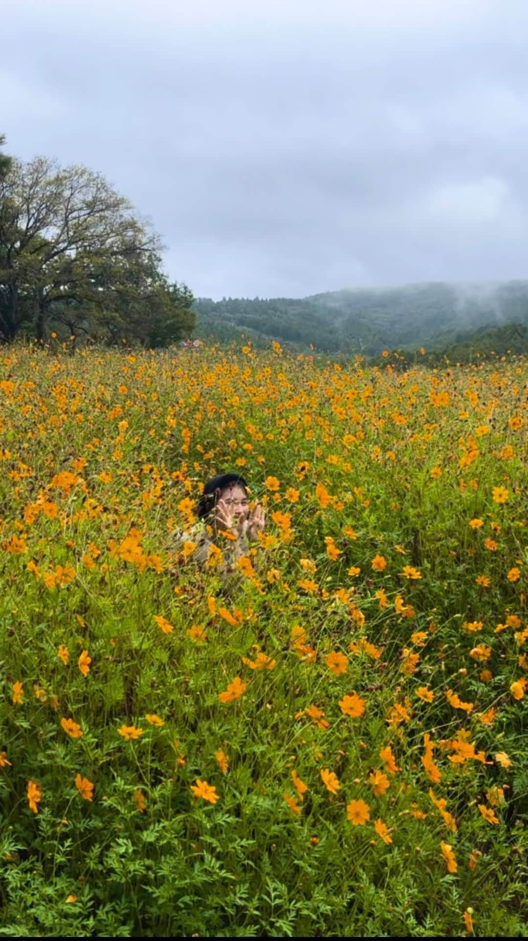 藤本林花美愛のインスタグラム：「最近の撮影のオフショットムービー集🌼  ロケでの撮影はテンションが上がるし、 いつも笑いが絶えなくて楽しくて、 皆さんと一緒に良いものができたとき幸せな気持ちになるの🥰」