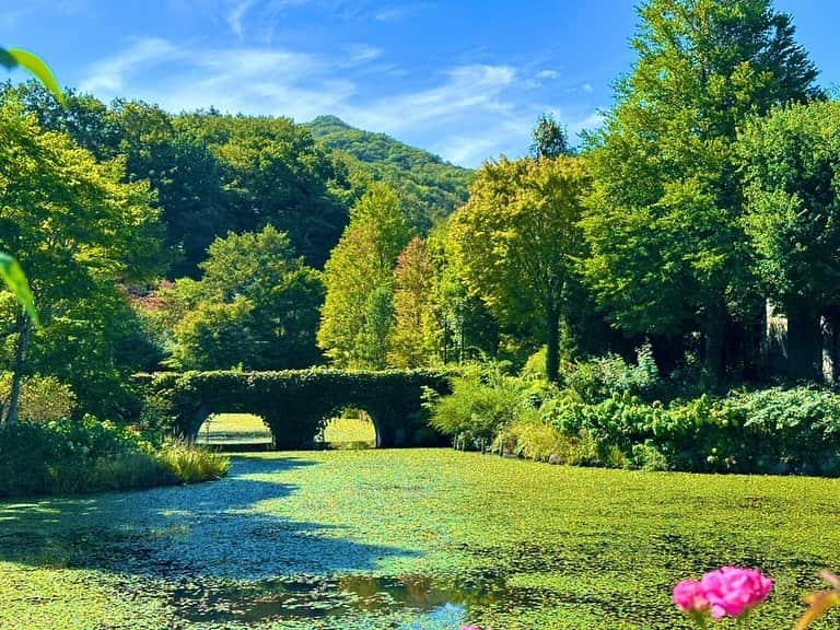 天神英貴のインスタグラム：「初めての母と二人の旅行 こんな景色が日本で見られるなんて驚きました。 東京から一時間ですよ。」