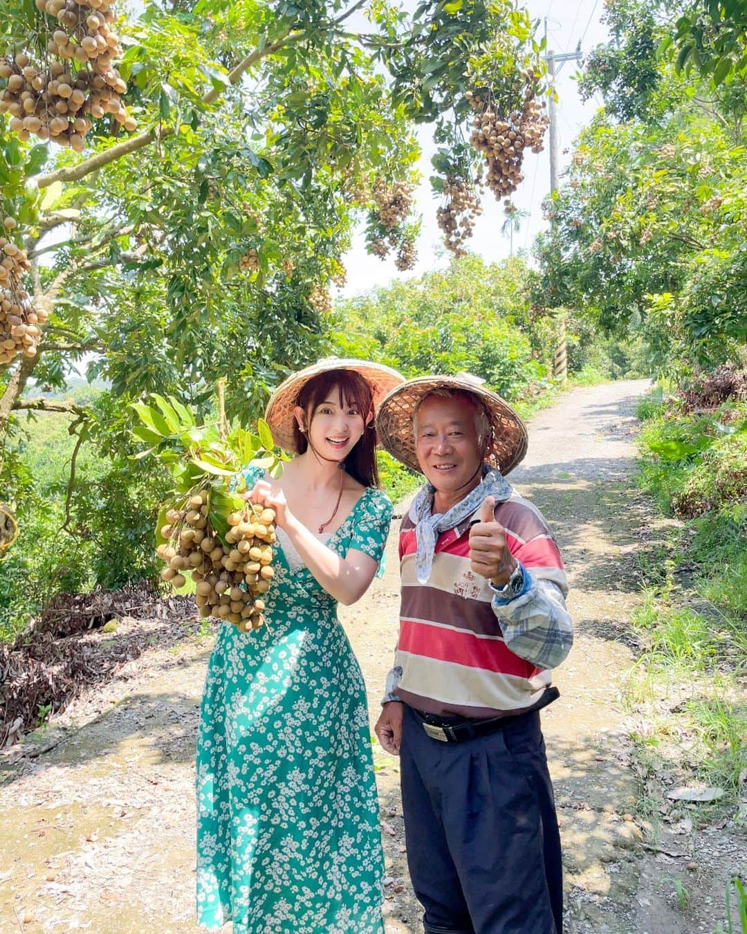 日野礼香のインスタグラム：「竜眼摘み体験💚 竜眼って知ってる？？ ライチのようなフルーツなんだけど日本ではなかなか見たことないかも！ ライチより甘味が強くてすごく美味しかった🤤 これも宿泊した仙湖農場内で体験したよ！ 竜眼摘みプロのおじいちゃんが可愛かった❤️  #taiwan #tainan #southtaiwan #trip #tripstagram #travel #travelstagram #taiwantrip #hotel #taiwanhotel #nature #台南 #台湾 #寺 #海外旅行  #旅好き #旅好き女子 #タビジョ #旅スタグラム #台湾旅行 #台湾観光 #台南宿 #宿 #絶景宿  #絶景 #朝食 #仙湖休閒農場 #竜眼 #pr」