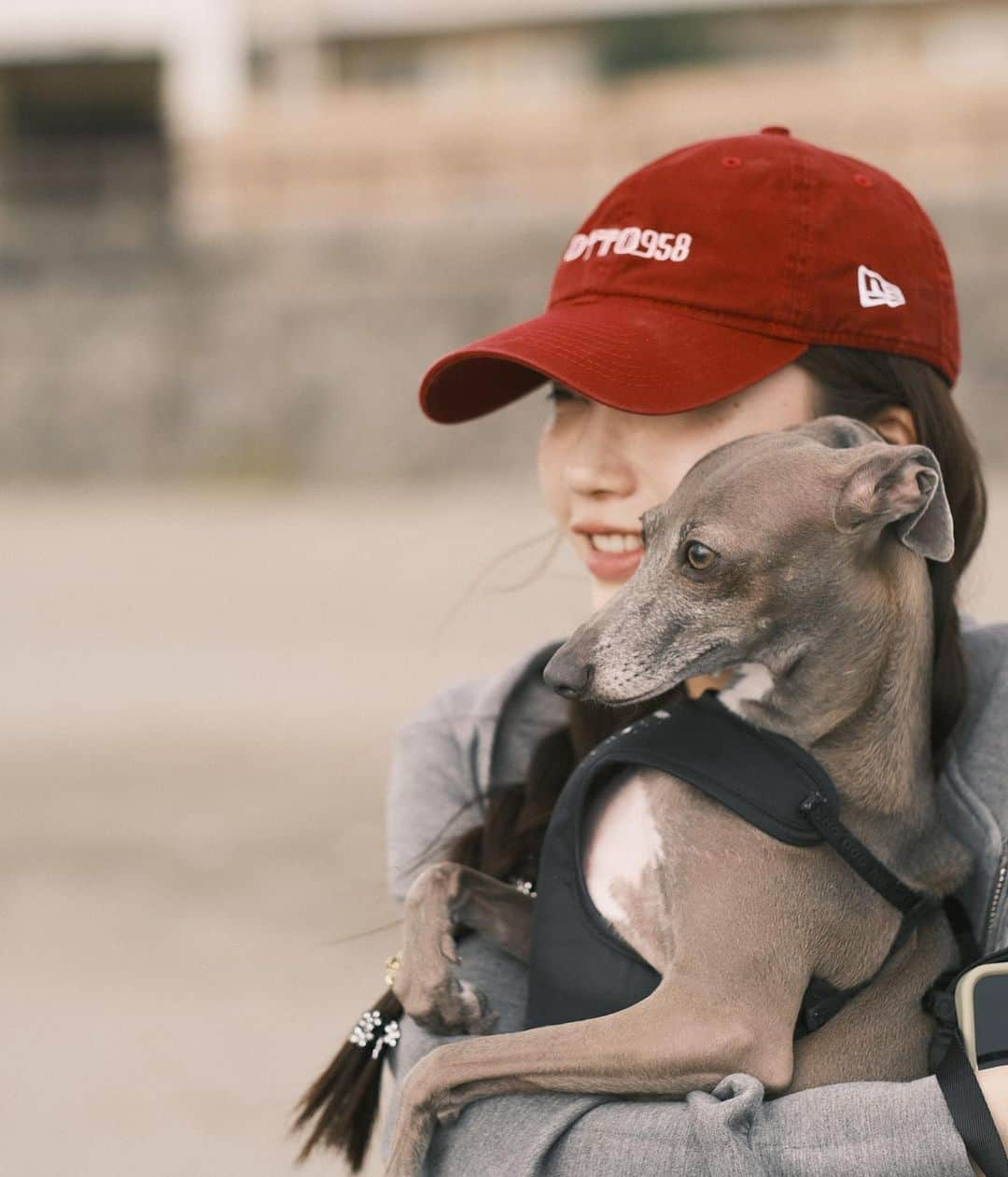 小倉優香さんのインスタグラム写真 - (小倉優香Instagram)「一日旅〜🐕  最後の写真は帰ってから気づいて爆笑 知らない方です🤣 いい写真だったのになぁ〜  #海 #イタグレ #鎌倉 #逗子」10月3日 19時53分 - ogurayuka_official