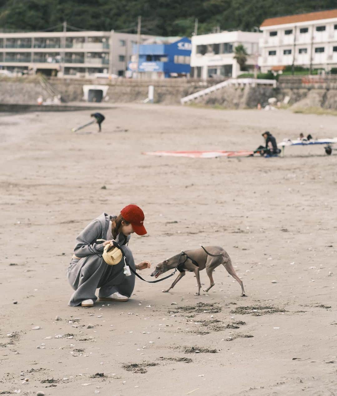 小倉優香さんのインスタグラム写真 - (小倉優香Instagram)「一日旅〜🐕  最後の写真は帰ってから気づいて爆笑 知らない方です🤣 いい写真だったのになぁ〜  #海 #イタグレ #鎌倉 #逗子」10月3日 19時53分 - ogurayuka_official