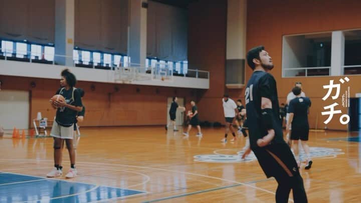シーホース三河のインスタグラム