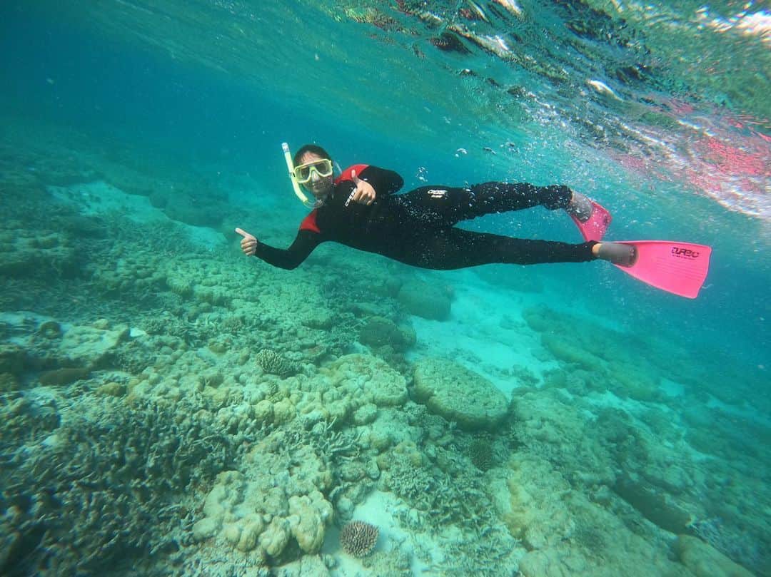 マリッサ・キャステリさんのインスタグラム写真 - (マリッサ・キャステリInstagram)「The Great Barrier Reef 🪸」10月4日 6時16分 - marissacastelli