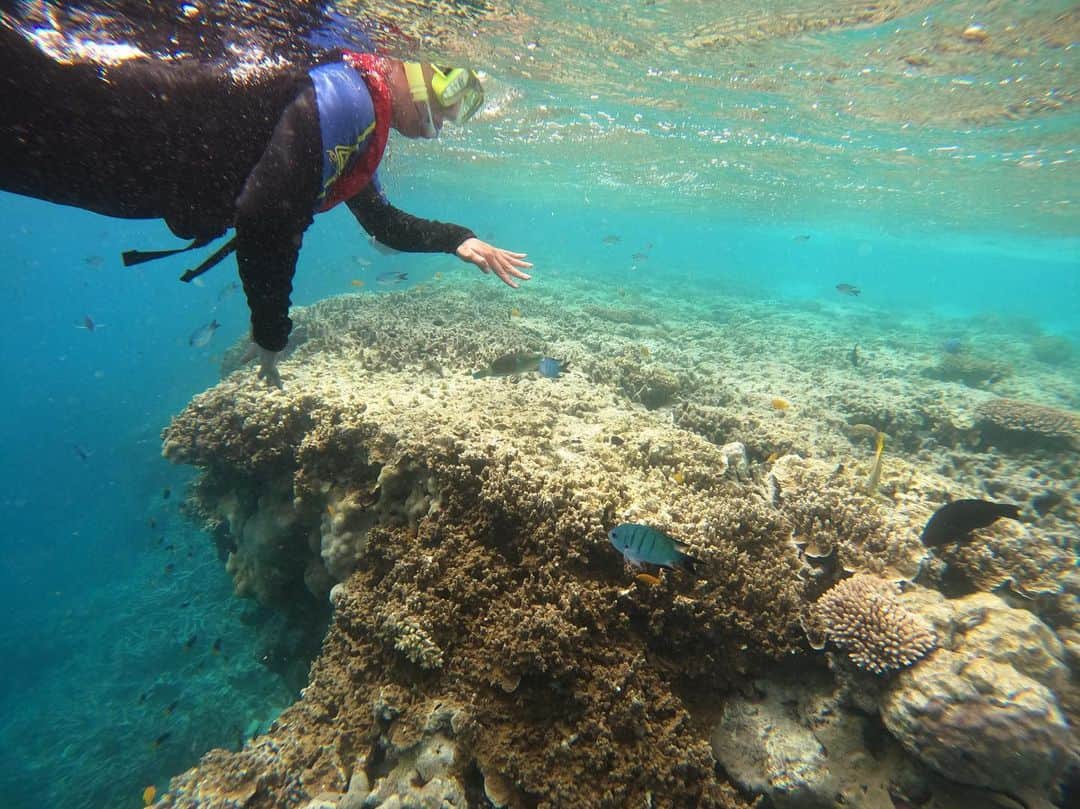マリッサ・キャステリさんのインスタグラム写真 - (マリッサ・キャステリInstagram)「The Great Barrier Reef 🪸」10月4日 6時16分 - marissacastelli