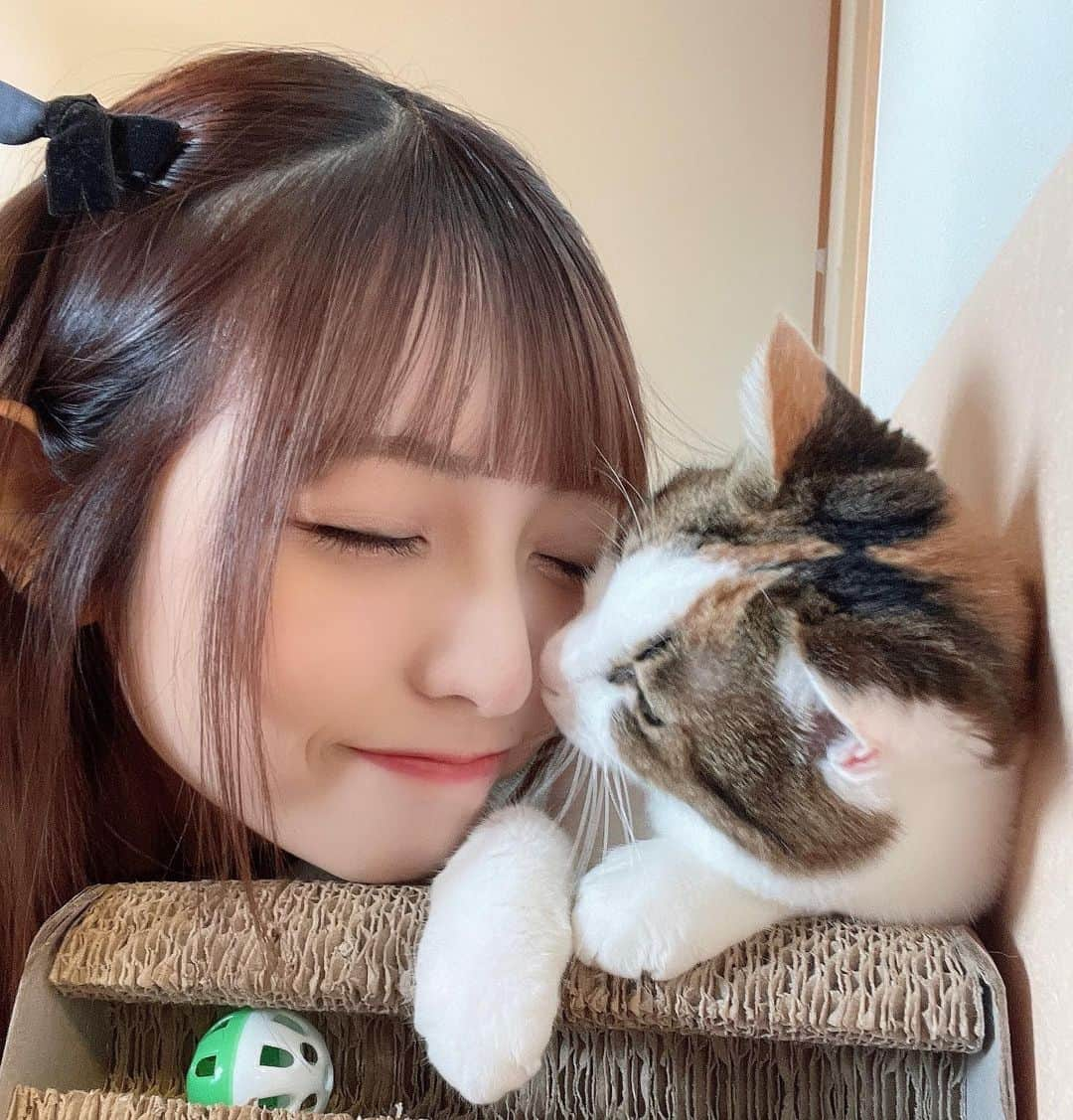 櫻井もえのインスタグラム：「.  🐱🐾  .」