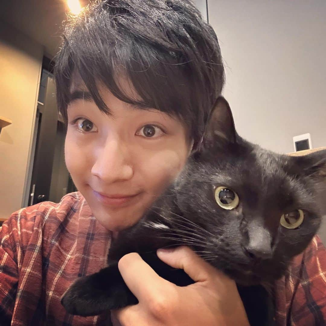 本田剛文のインスタグラム：「弟たち！ 今日もまんまるお目目で元気です！  #猫 #猫のいる暮らし #ねこすたぐらむ  #シャツ #UNIVERSALOVERALL #ボイメン #本田剛文」