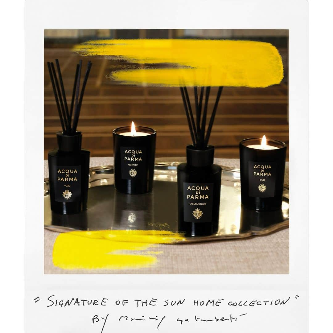 アクアディパルマさんのインスタグラム写真 - (アクアディパルマInstagram)「Evoke the senses with the radiant symphonies of Yuzu, Osmanthus, Oud, and Quercia at home.  Each scent, a rediscovery; every moment, a revelation.  #AcquadiParma​ #theessenceofItalianlife #ItalianLifestyle #signaturesofthesun #TheArtofPerfume #HomeCollection」10月3日 23時00分 - acquadiparma